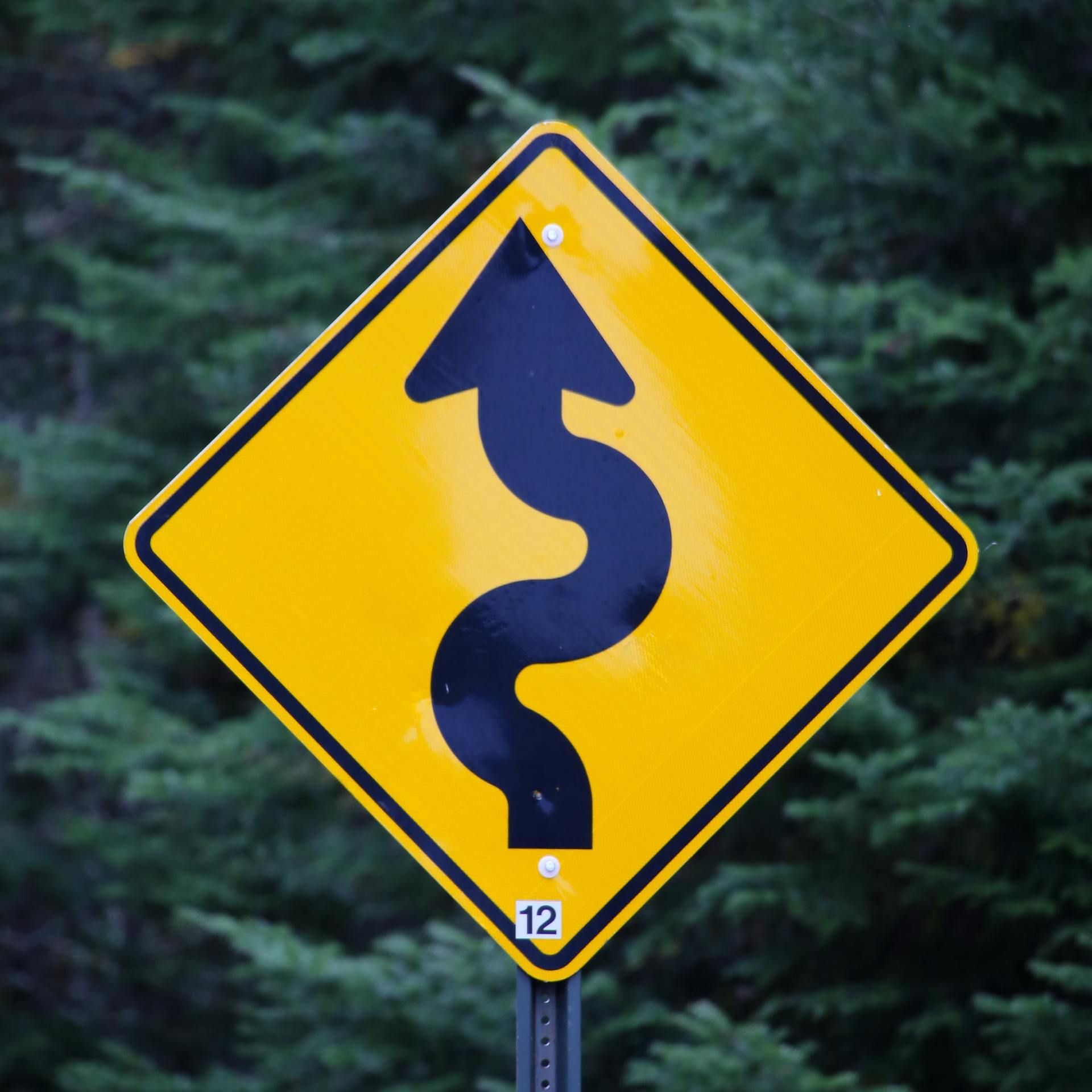 Yellow winding-road warning sign with arrow on a forest background