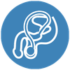 icona urologia
