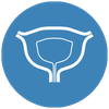 icona urologia