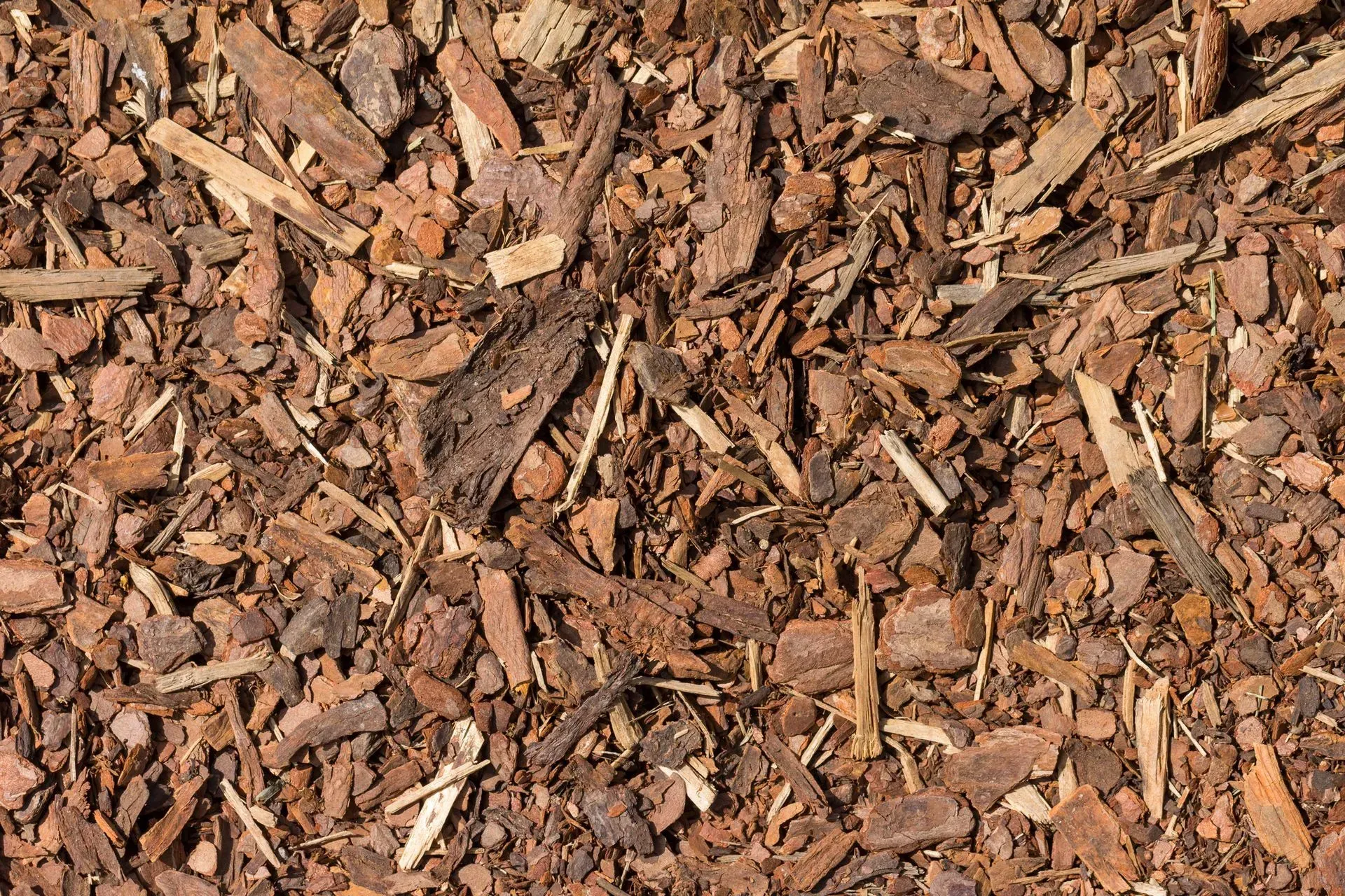 Wood Chip & Mulch Supplies in Eaglevale | Shane & Catherine's Tree Service