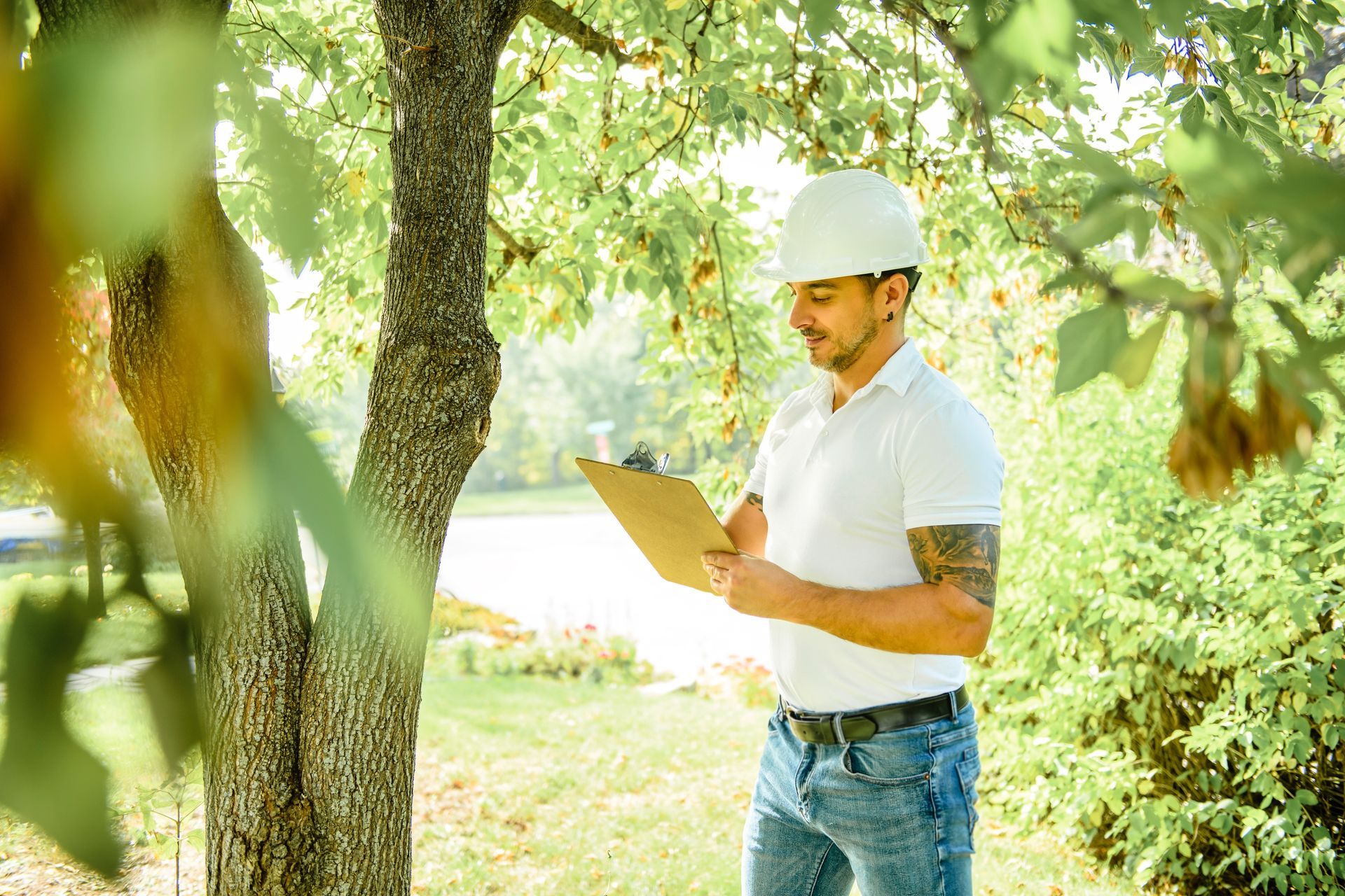 Arborists reports In Eaglevale | Shane & Catherine's Tree Service