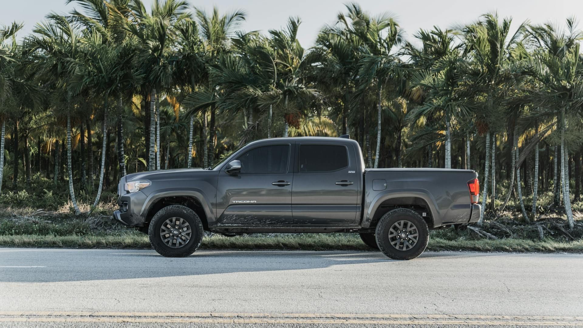 A toyota tacoma truck is parked on the side of the road next to a palm tree.