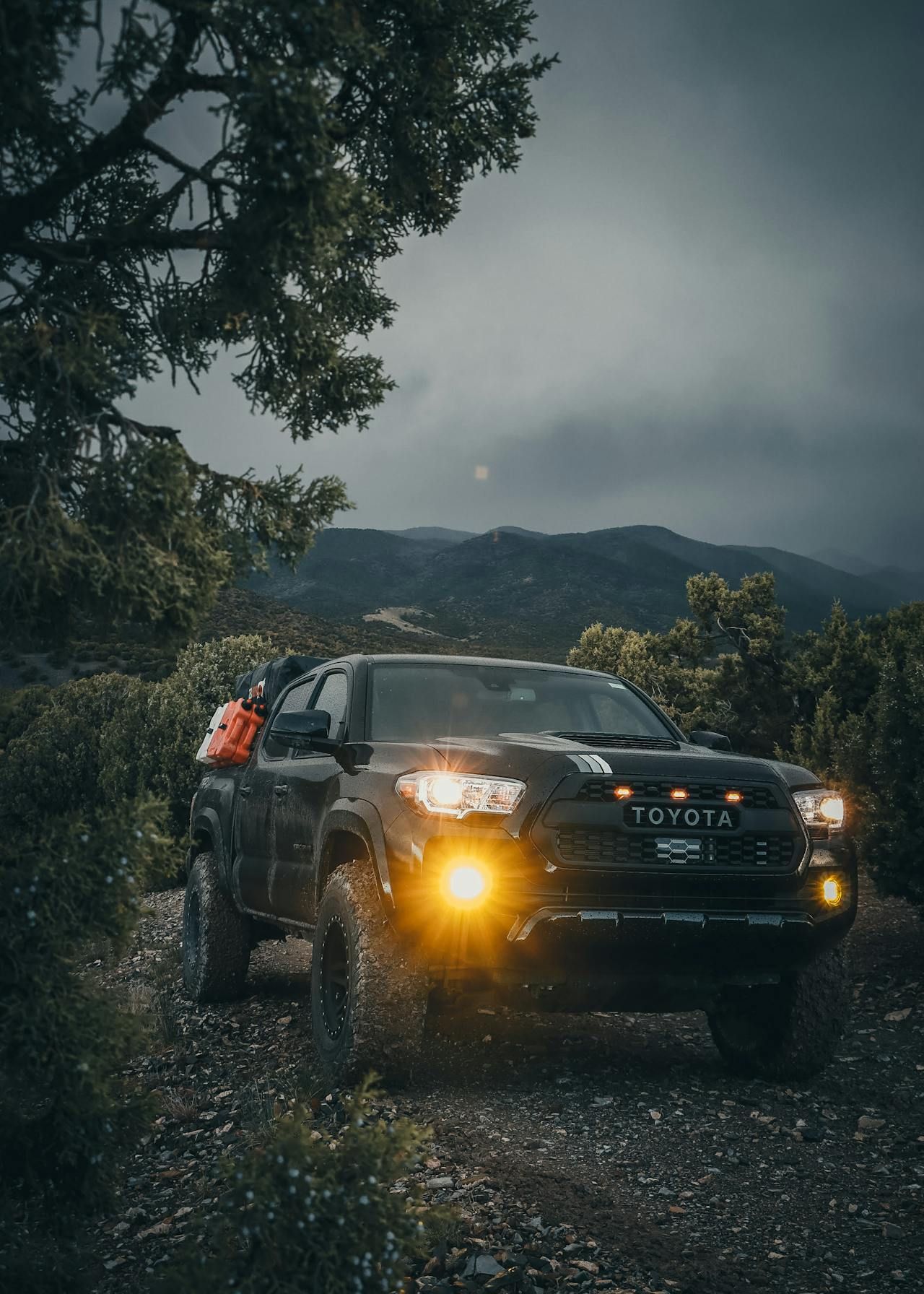 A black toyota tacoma truck is parked on a dirt road in the woods.