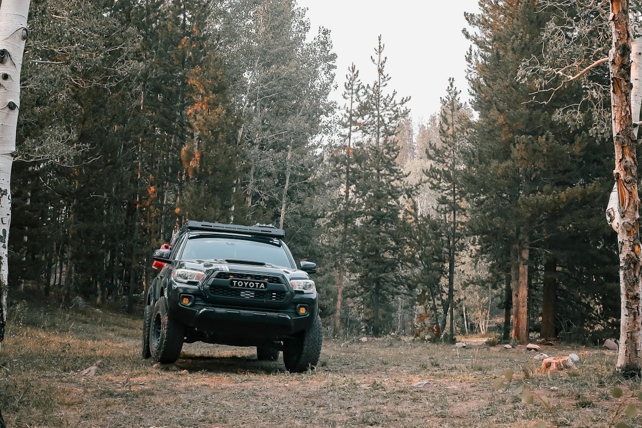 A black truck is parked in the middle of a forest.