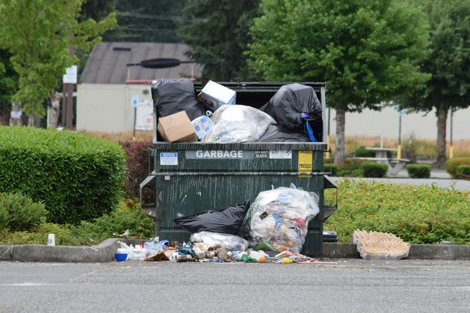 Overfilled green dumpster with trash spilling onto a parking lot, near bushes and trees