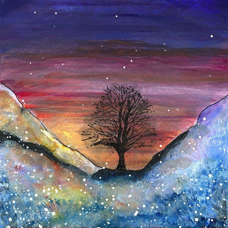 Sycamore Gap picture