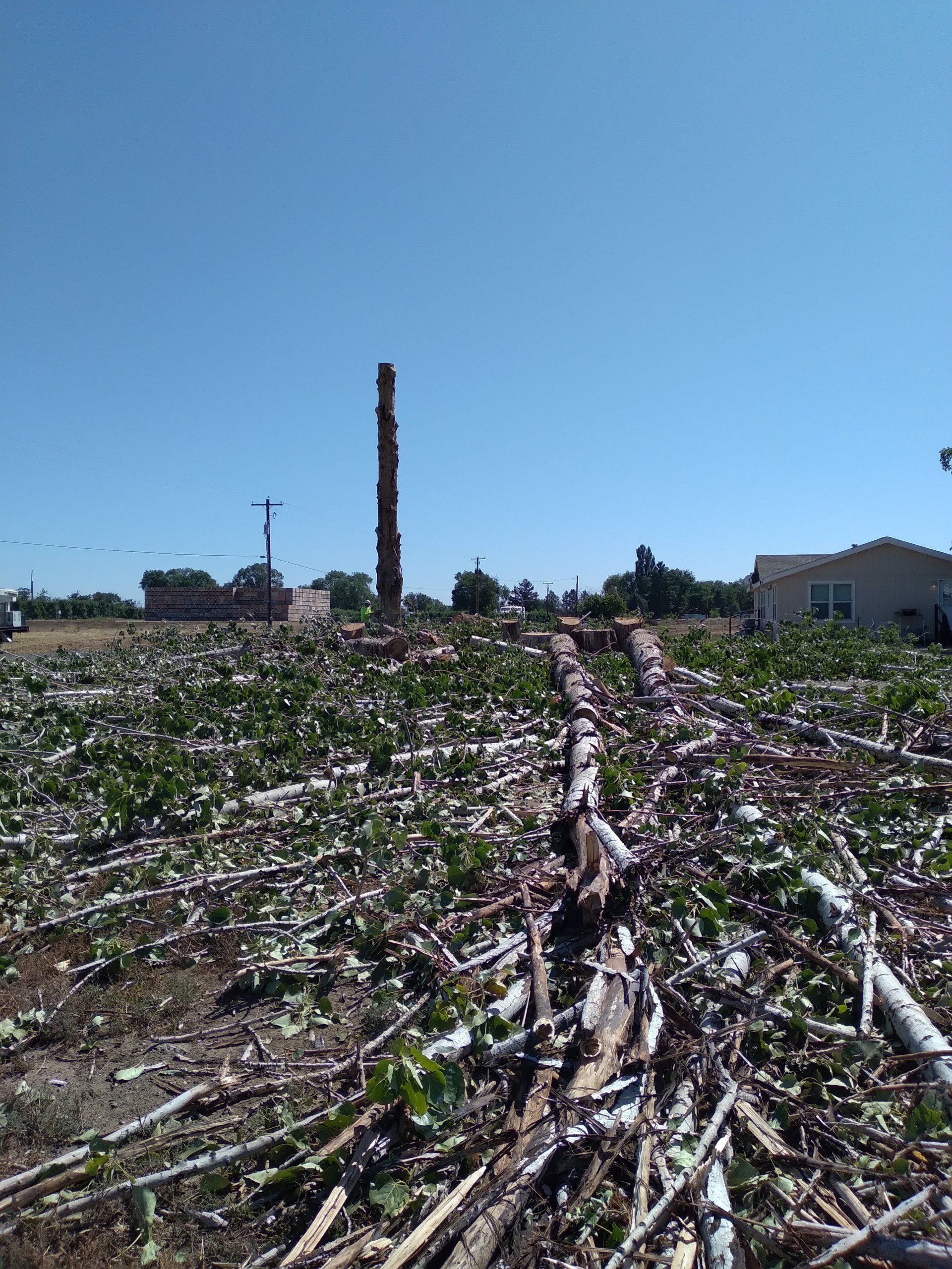 Field of debris with a tall brick chimney under a clear blue sky.