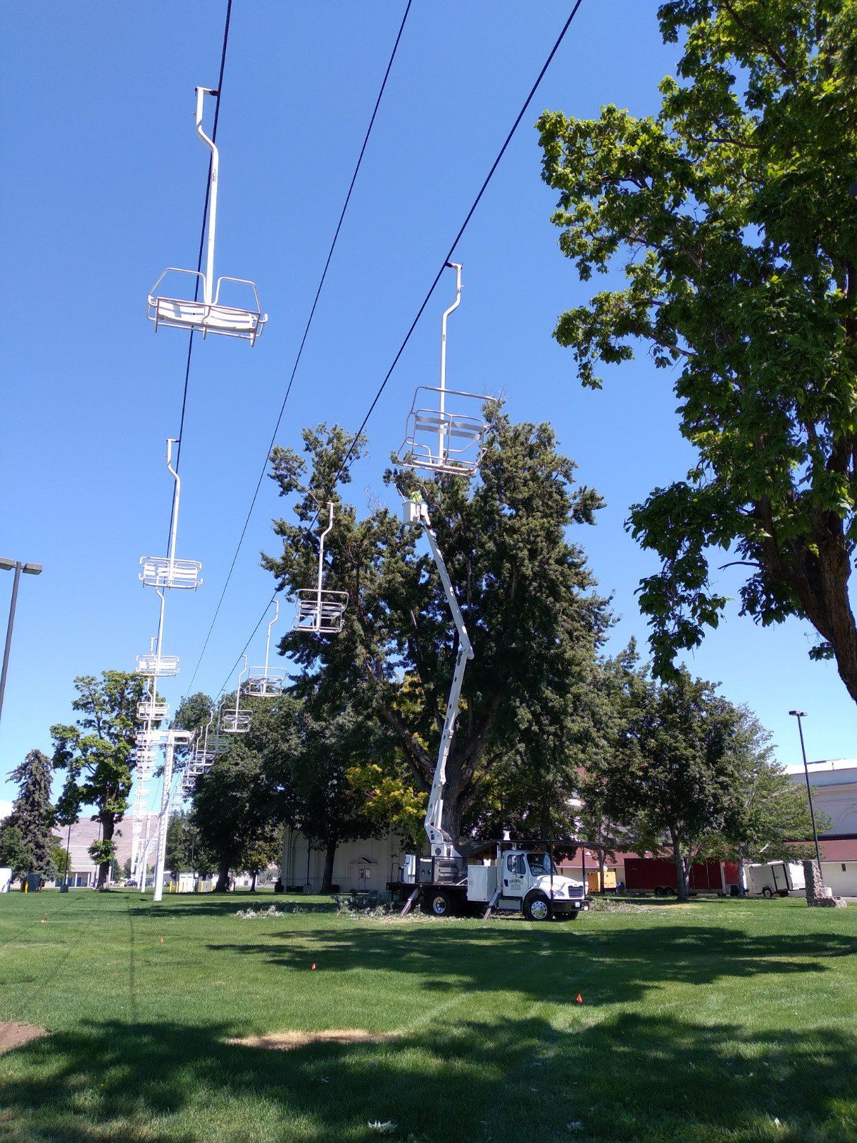 Workers on a lift trimming a tree near overhead power lines and communication equipment under a clear, blue sky.