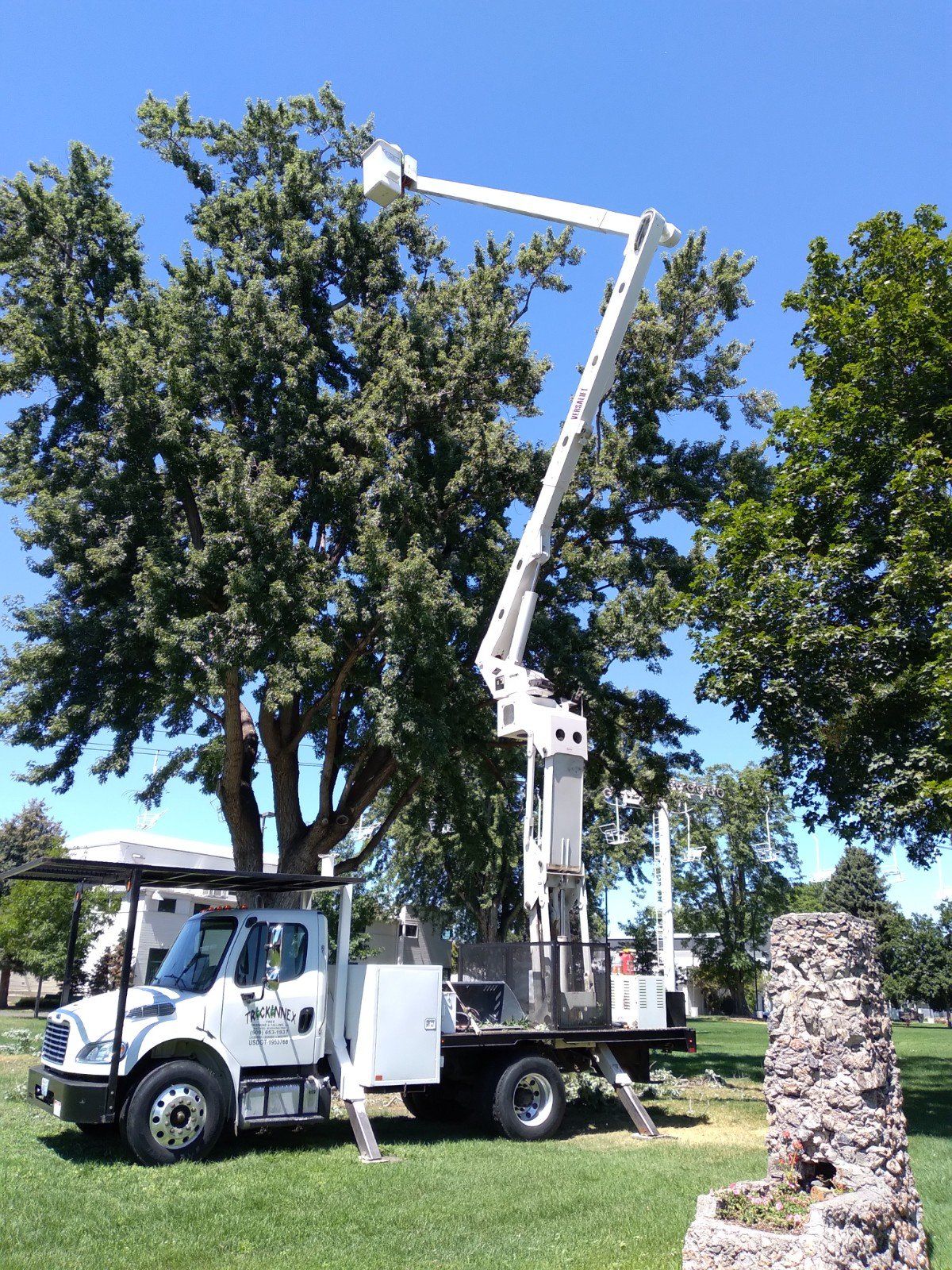 White tree trimming truck with extended arm reaching tree. Sunny day.