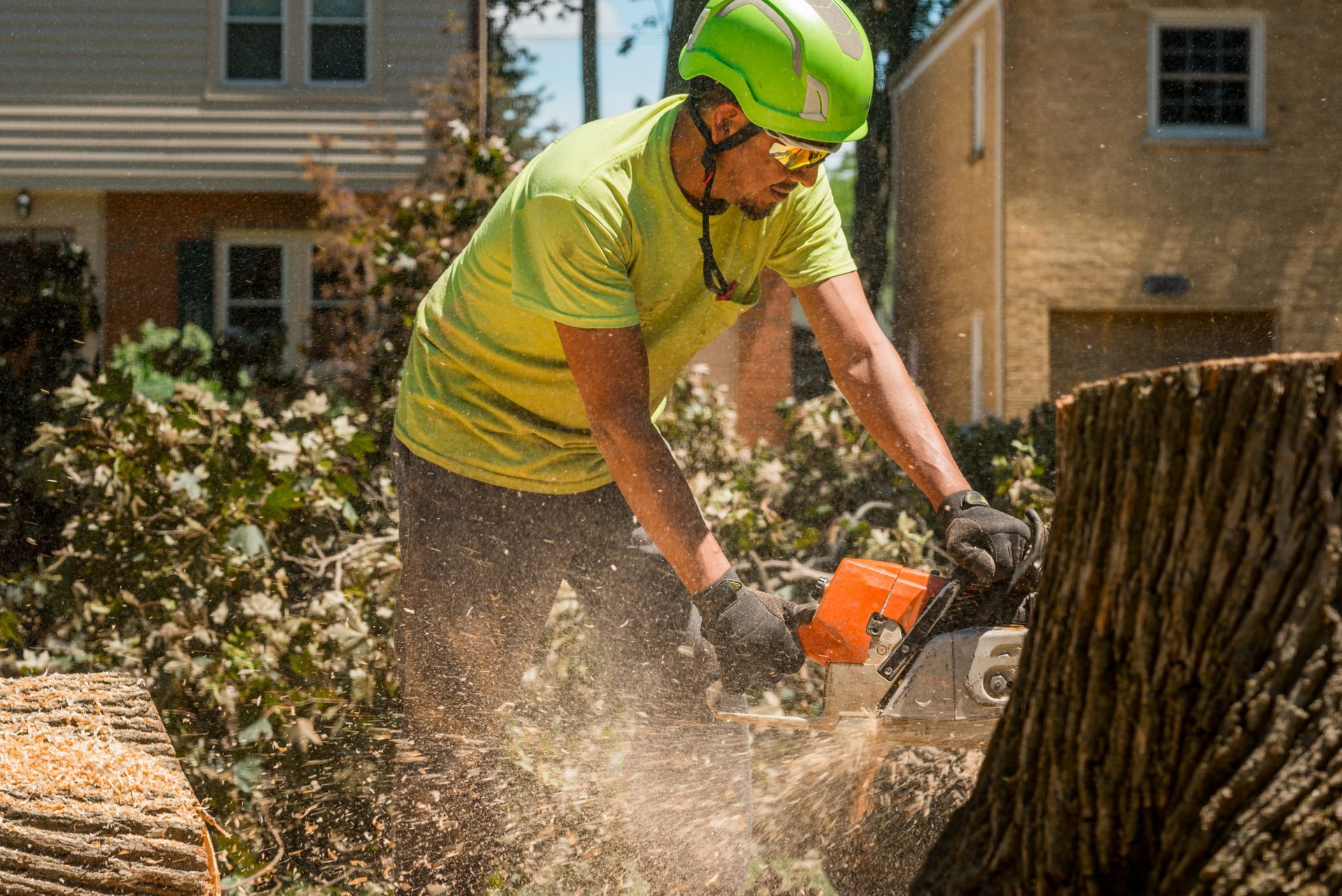 An arborist in a green shirt and helmet operates a chainsaw to fell a tree in a front yard.