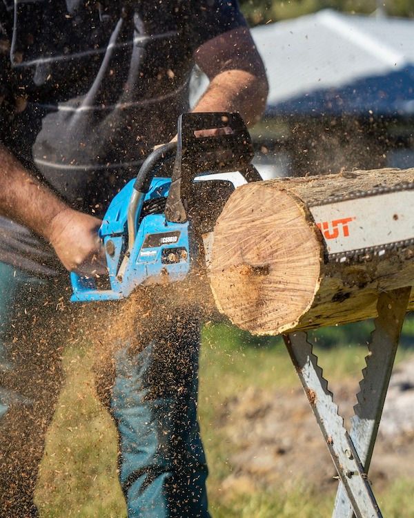 Chainsaw Dubbo Town & Country Equipment Centre
