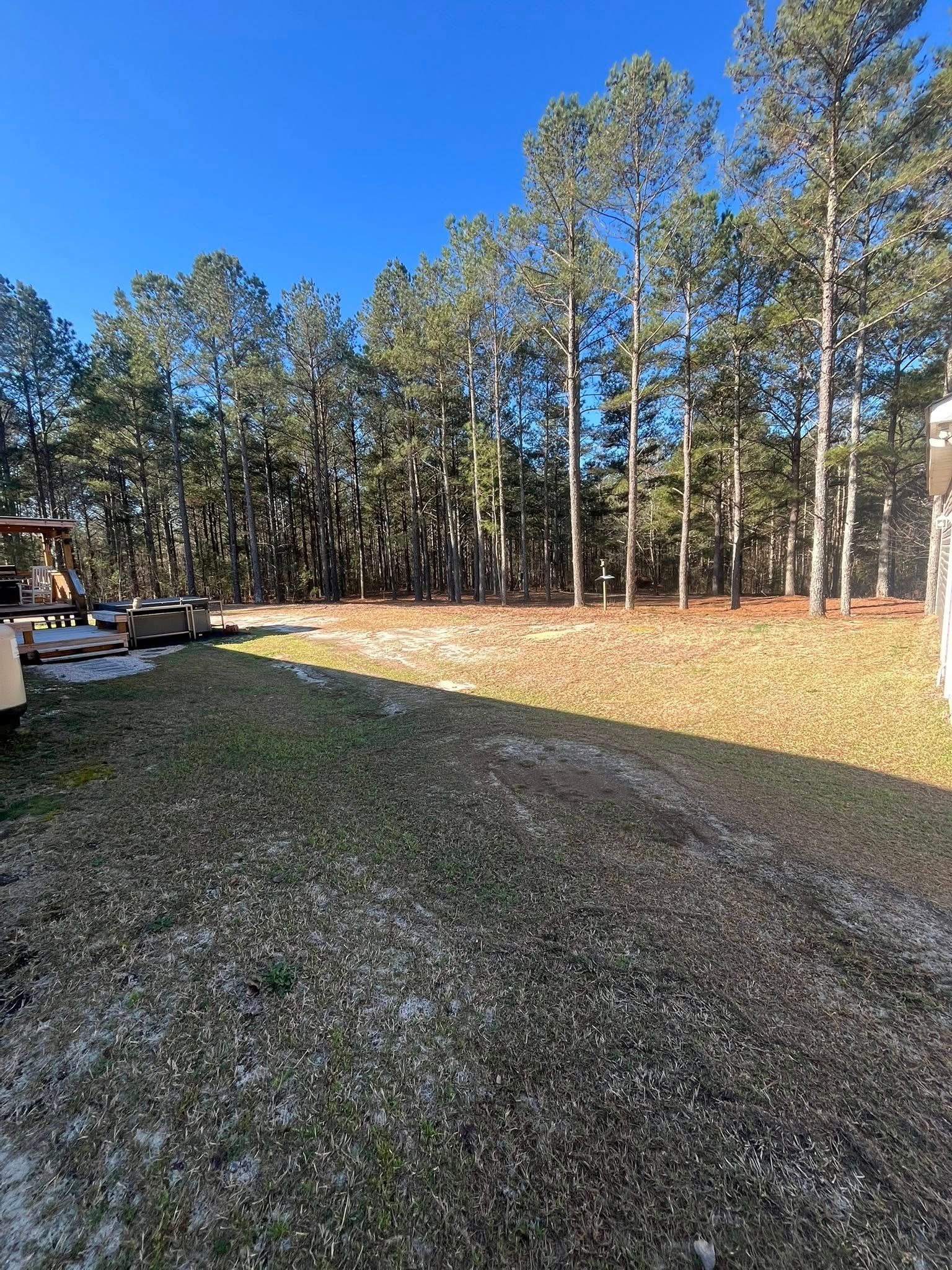 Gravel driveway beside a wooded yard with tall trees and a bright blue sky