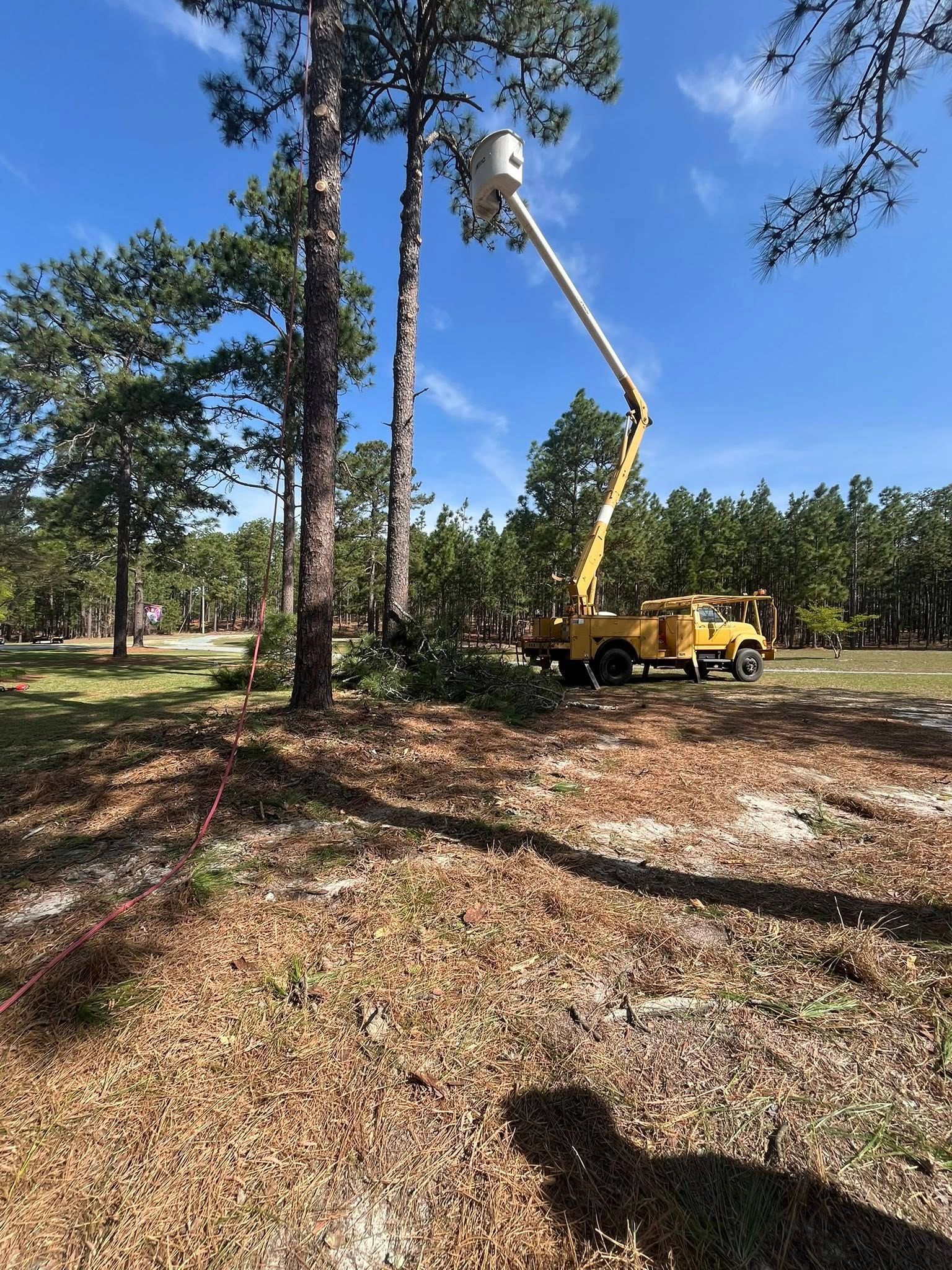 Yellow utility truck with bucket lift trimming trees in a wooded clearing under a blue sky