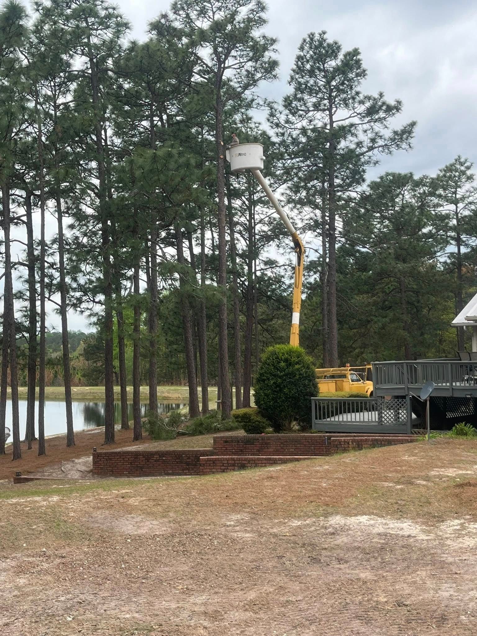 Utility truck with bucket lift beside tall pine trees near a wooded lake shoreline