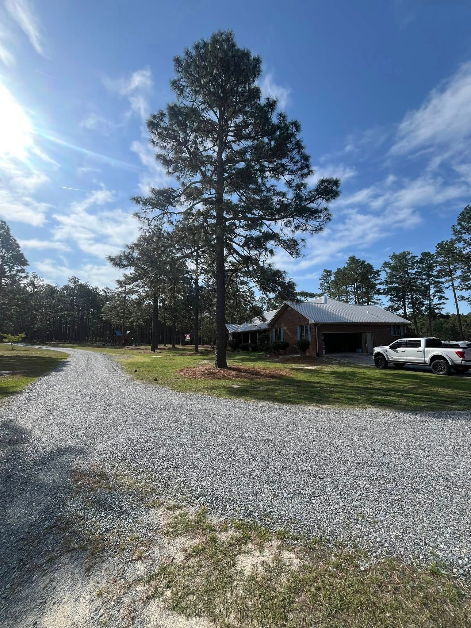 Gravel driveway leading to a house with tall pine trees and a white pickup truck under a bright blue sky.