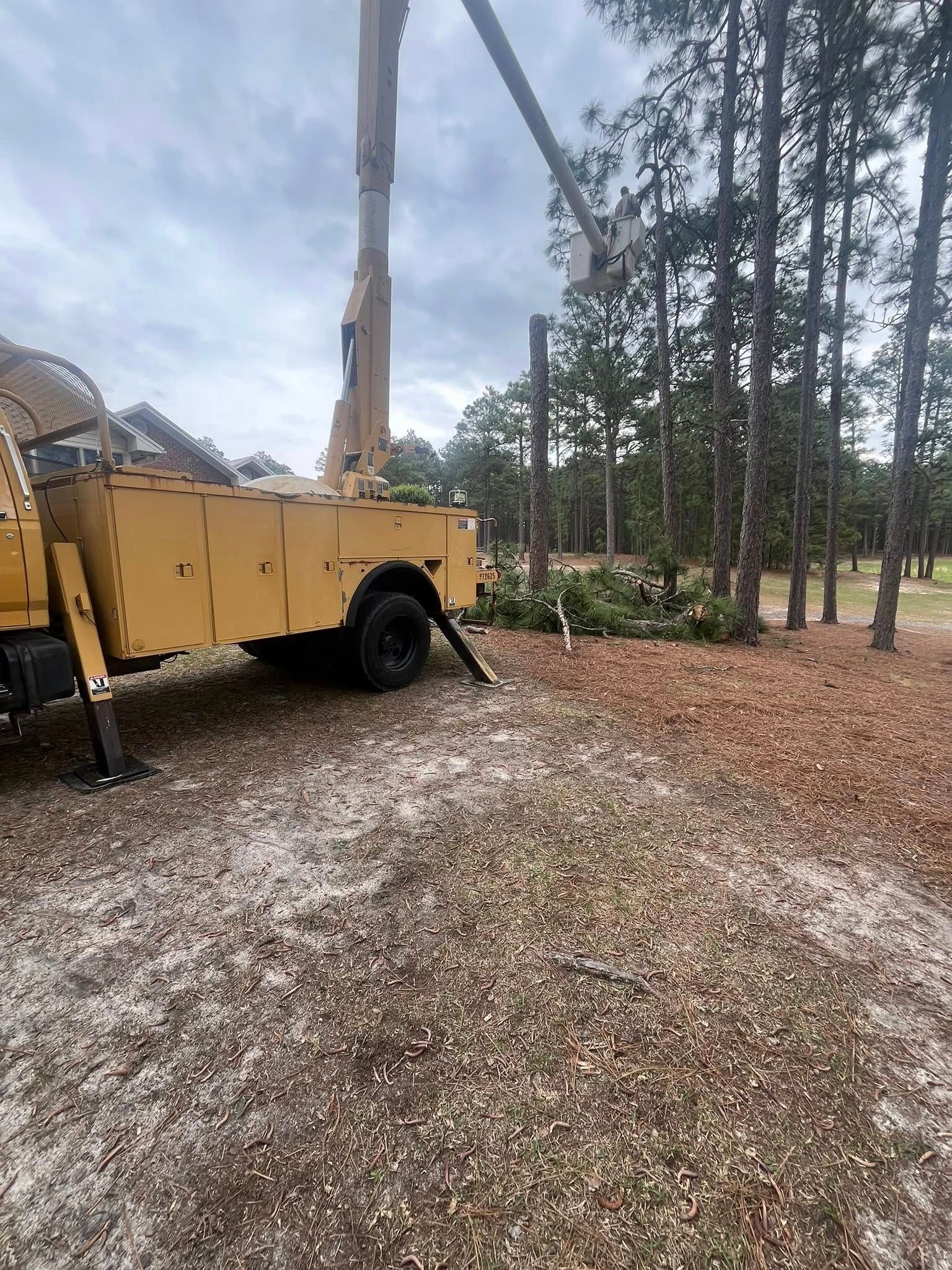 Yellow utility trailer with a raised crane parked on a gravel road beside tall pine trees.