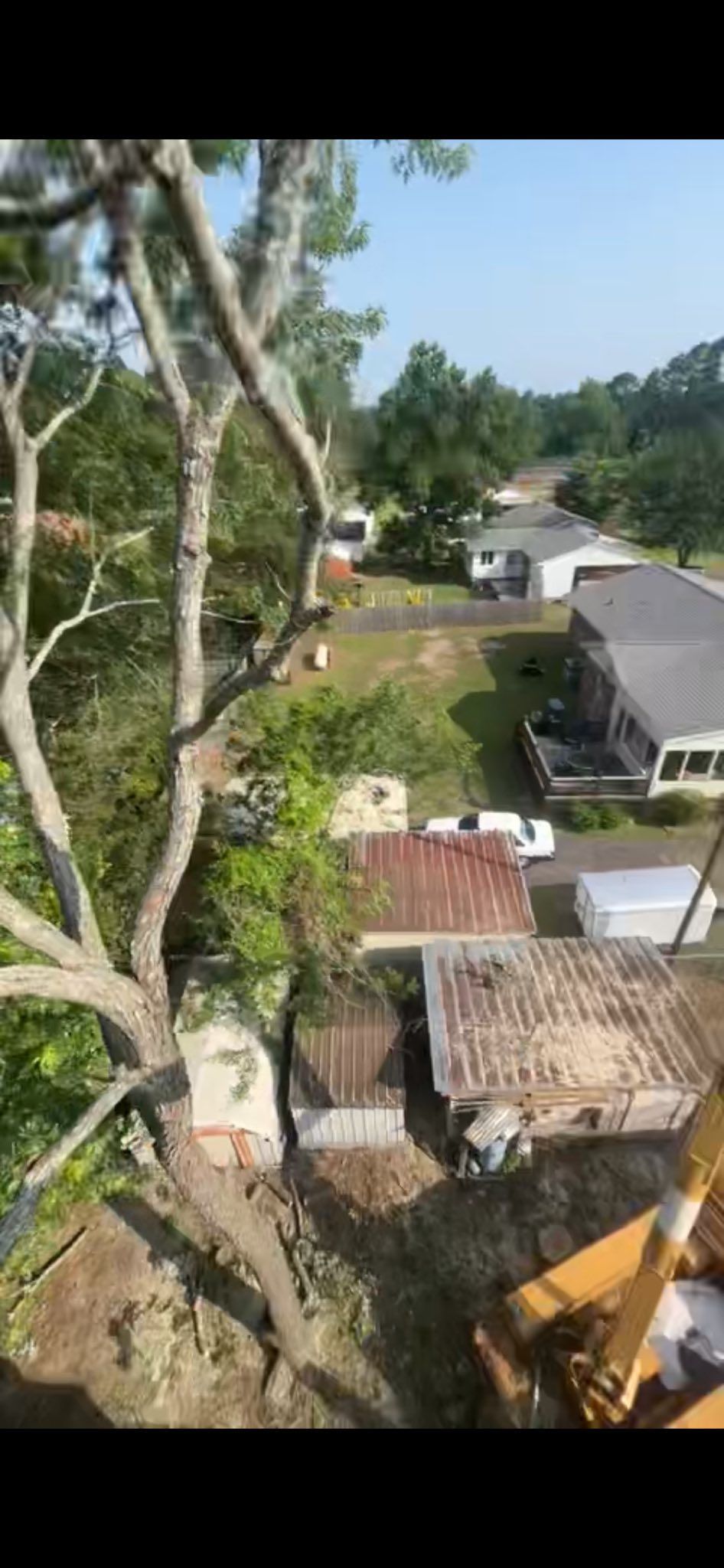 Tree branches in foreground overlooking a suburban neighborhood with houses and a road under a clear sky
