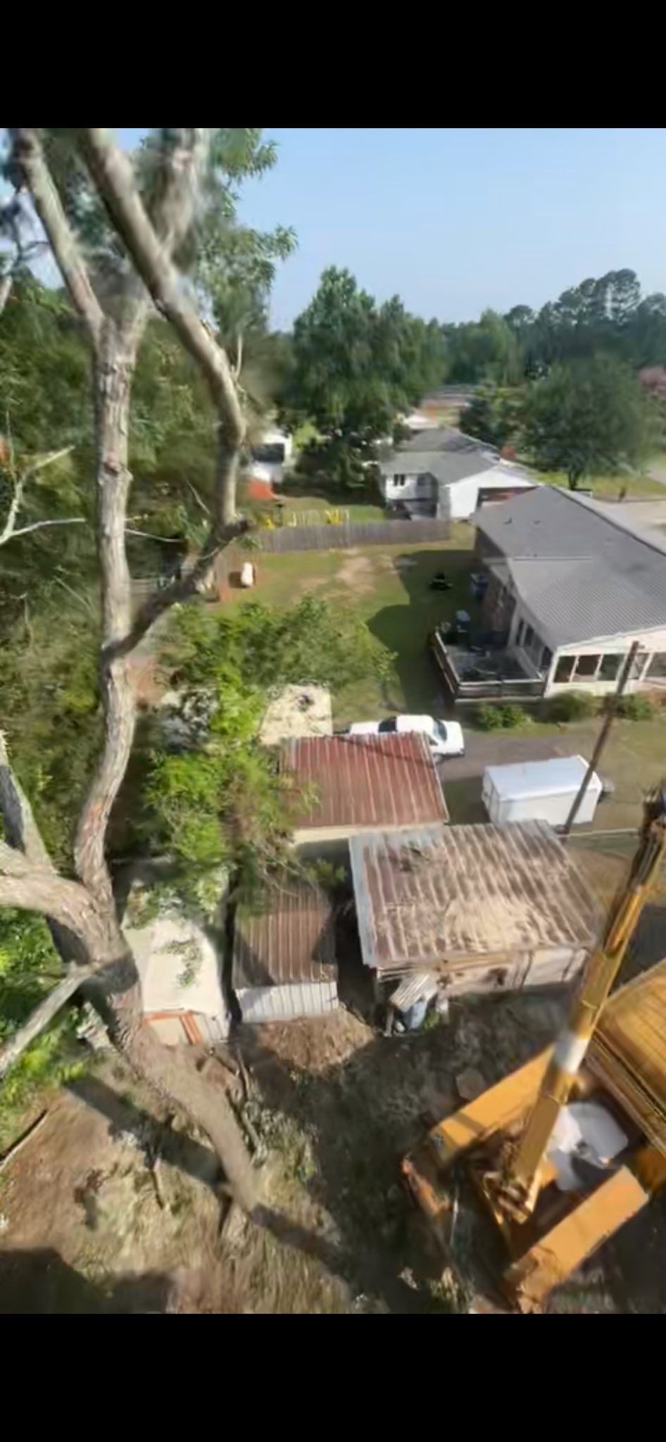 High-angle view of a rural yard with houses, trees, and a dirt path on a sunny day