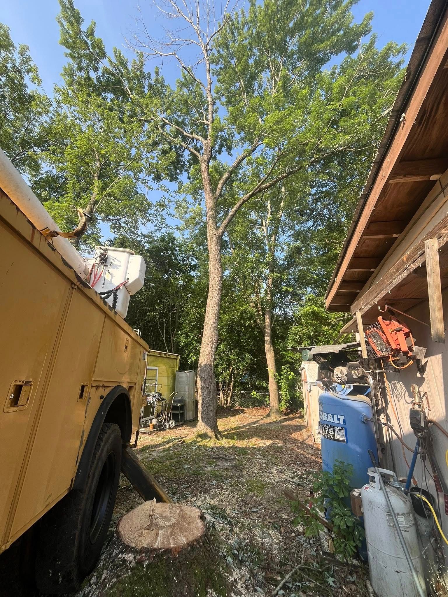 Yellow utility truck beside a house under tall green trees in a narrow driveway
