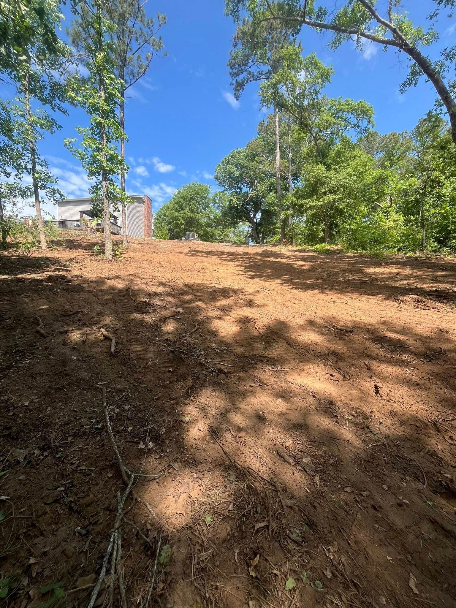 Steep dirt embankment under green trees and blue sky, with a building peeking in at left.