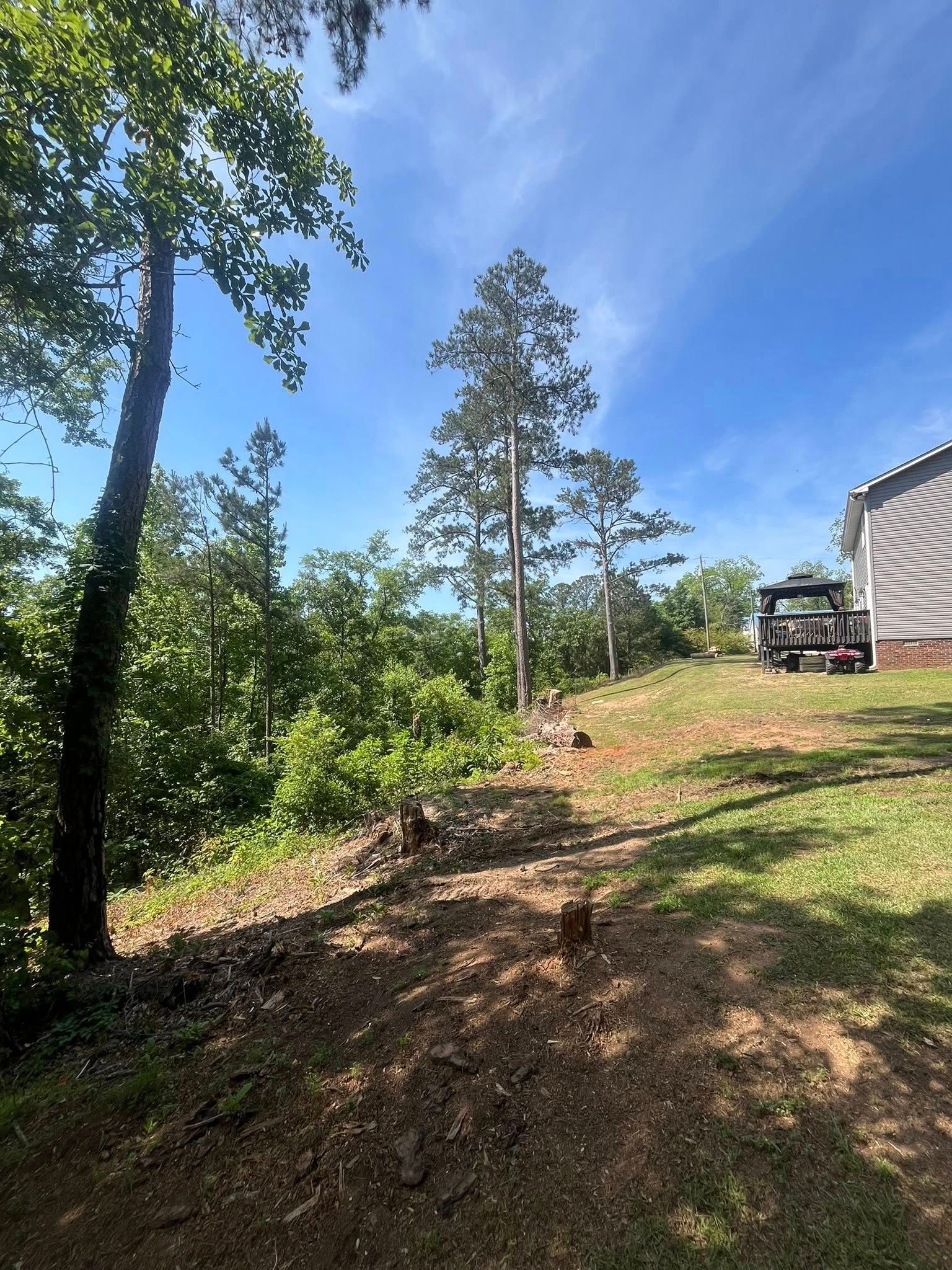 Dirt path beside a house on a sunny hillside, with tall trees and a parked pickup truck.