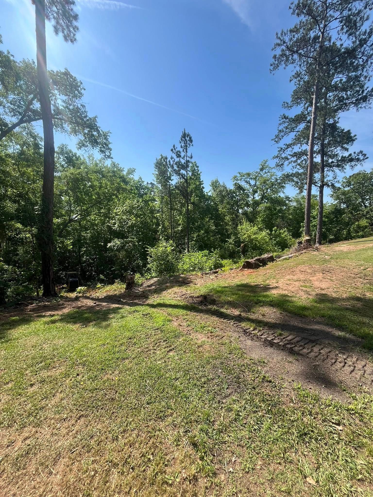 Sunny wooded trail with green grass, trees, and a dirt path on a clear day