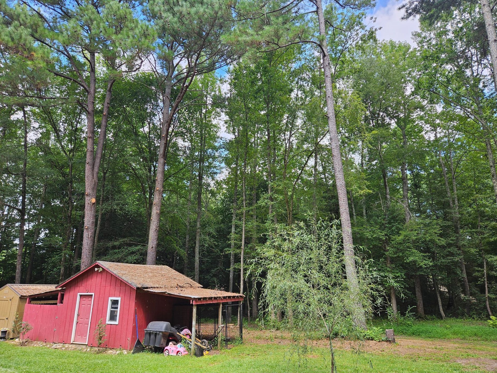 Small red shed with a porch in a wooded area, surrounded by tall green trees.