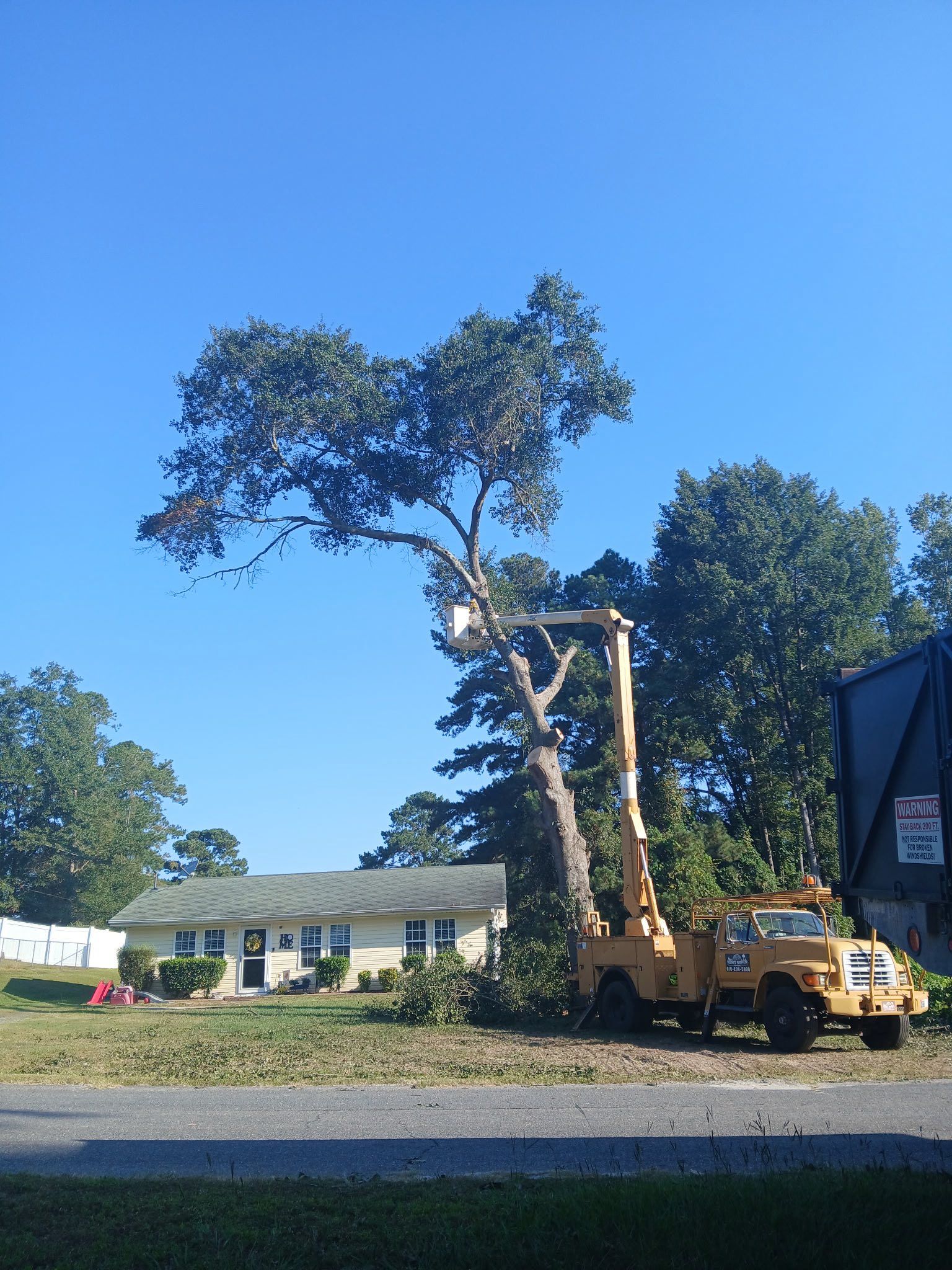 Yellow crane truck removing a large tree beside a house under a clear blue sky