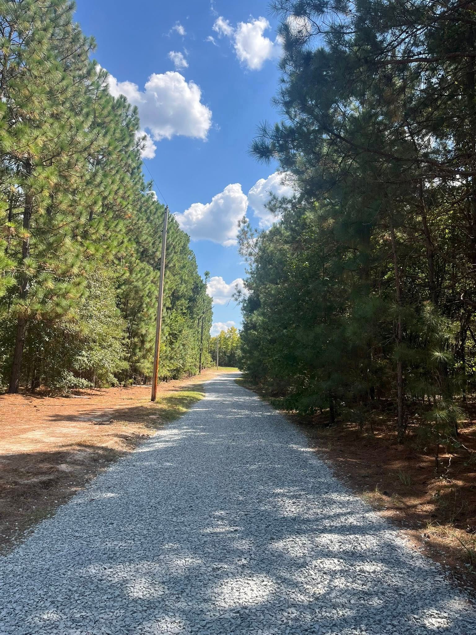 Gravel path through tall green trees under a bright blue sky with scattered clouds