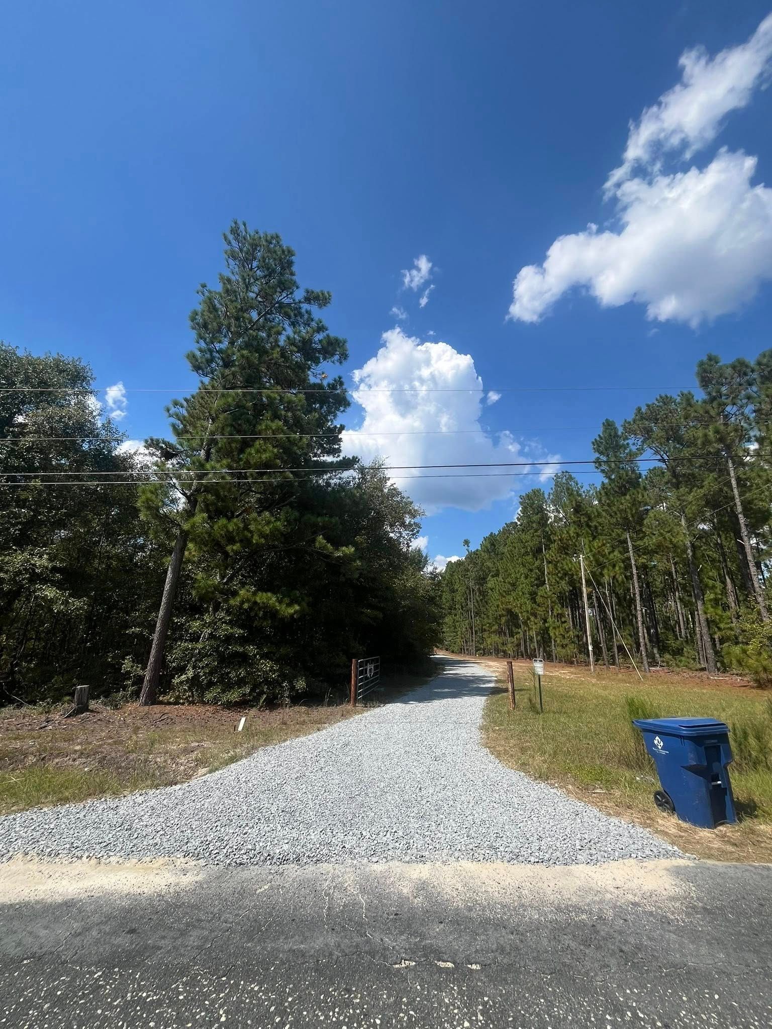Gravel road leading into trees under a bright blue sky with clouds; blue trash bin at right.