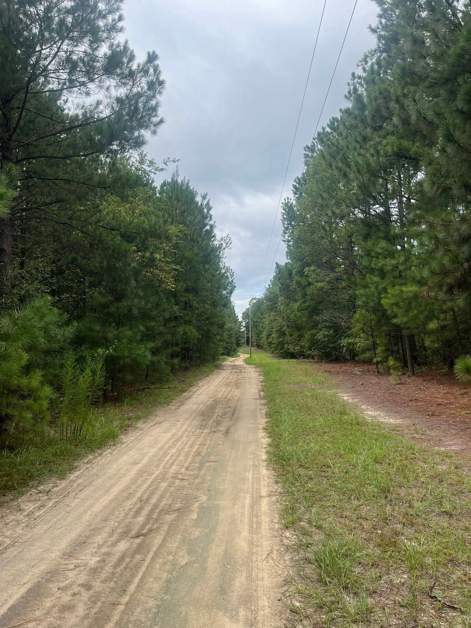 Dirt road through a wooded area under a cloudy sky, with power lines overhead.