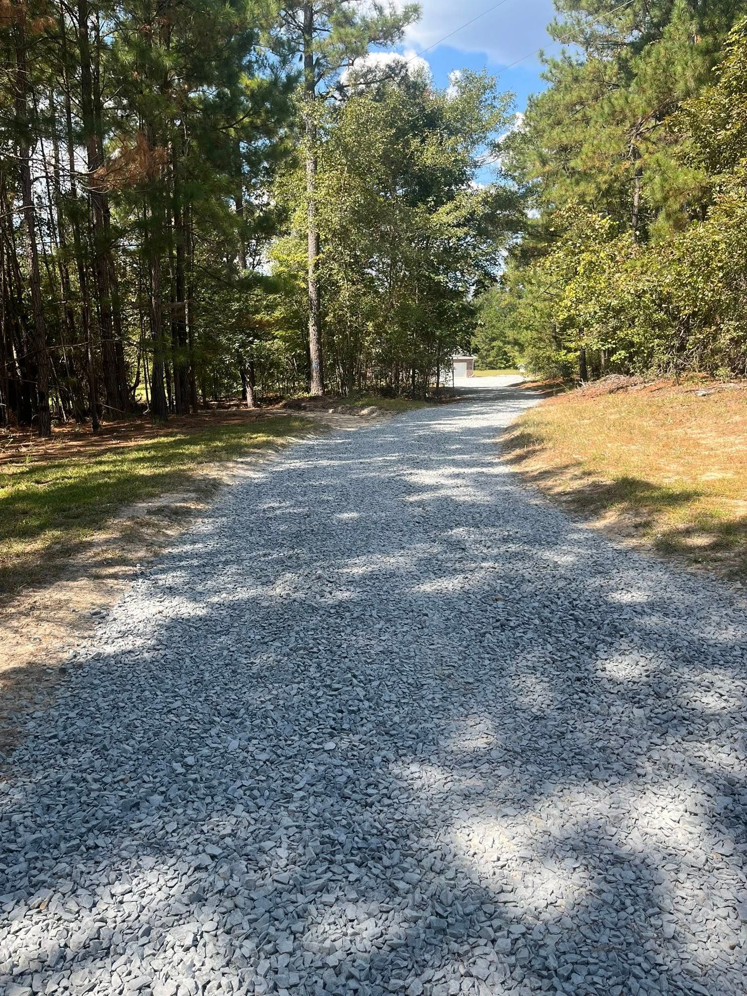 Gravel road through a sunny wooded area with trees and dappled shadows