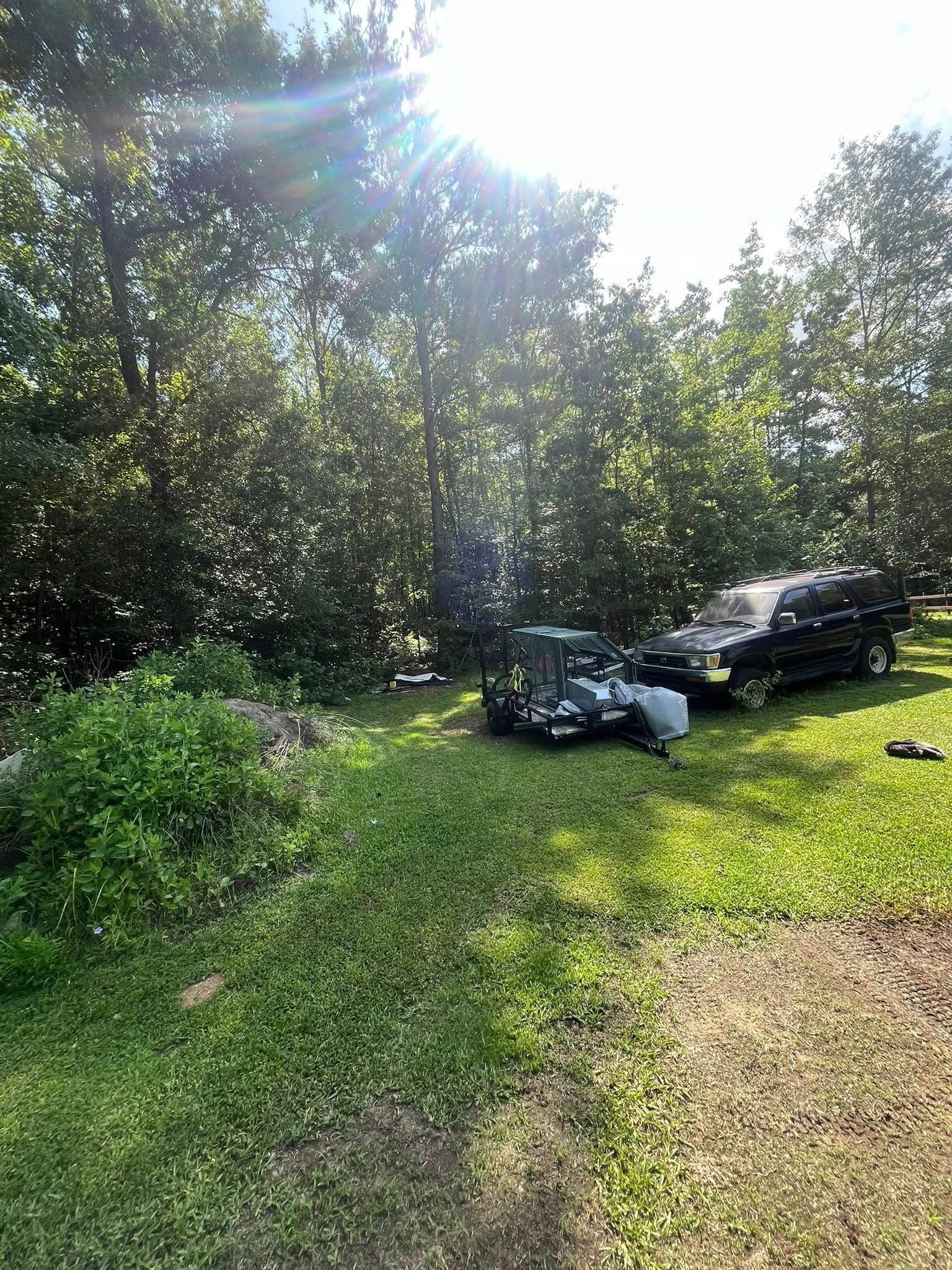 Overgrown grassy yard with two parked vehicles beneath bright sunlight and trees
