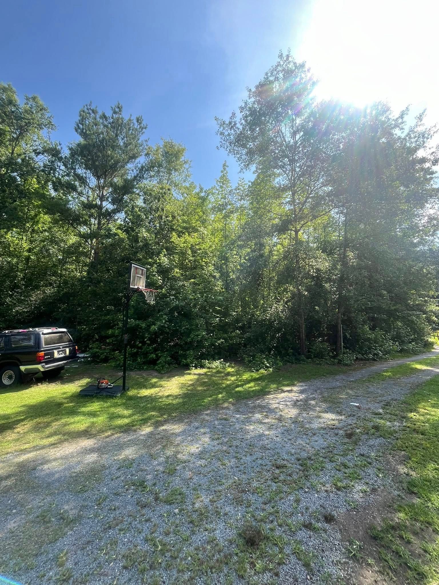 Gravel driveway beside trees and a parked black SUV in bright sunlight