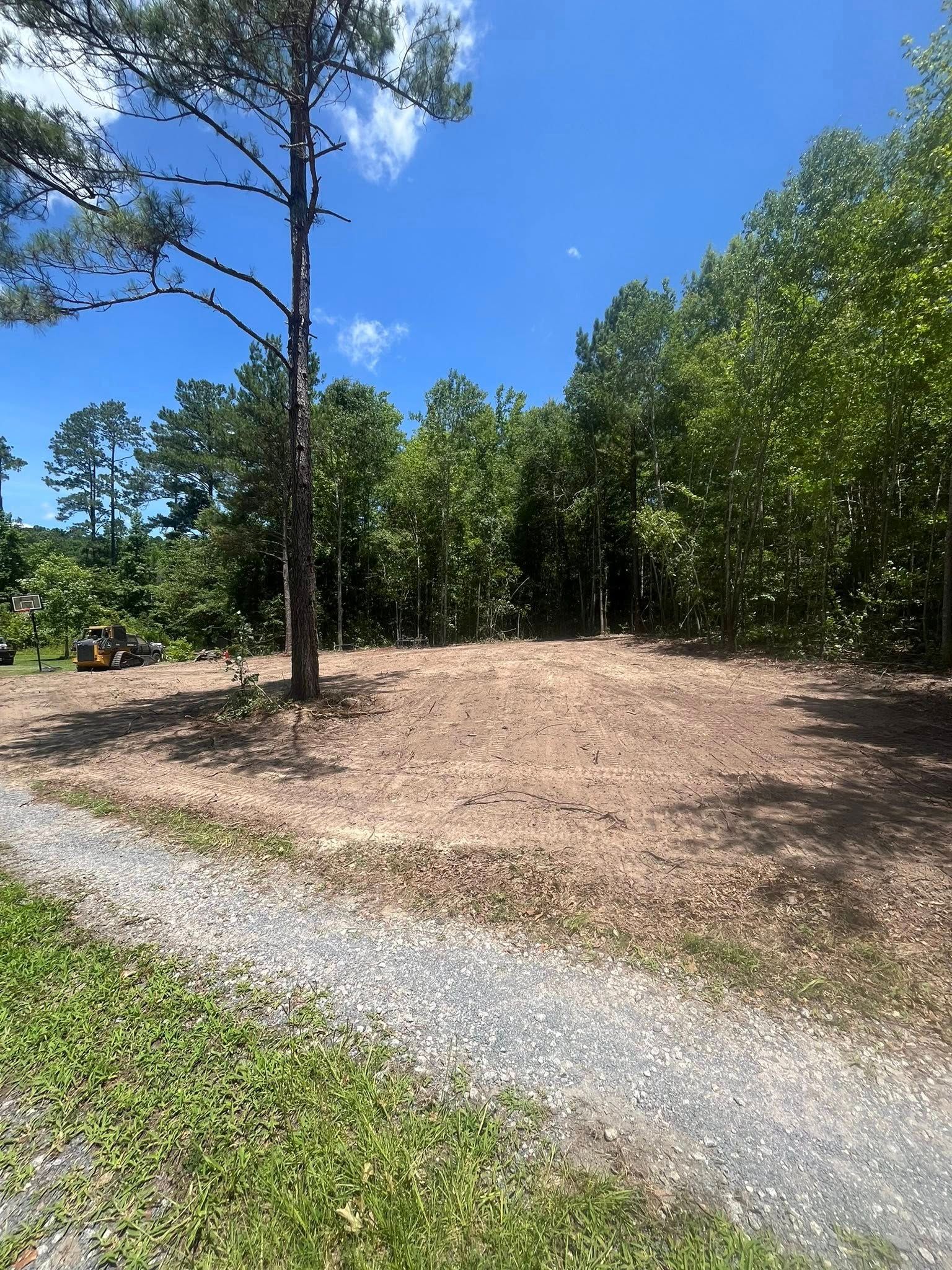 Sunny wooded clearing with a gravel path, tall pine trees, and blue sky.