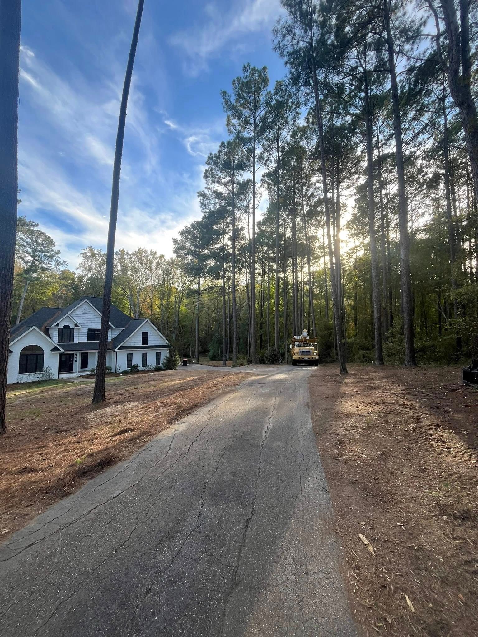 Gravel driveway leading to a white house beside tall pine trees at sunset
