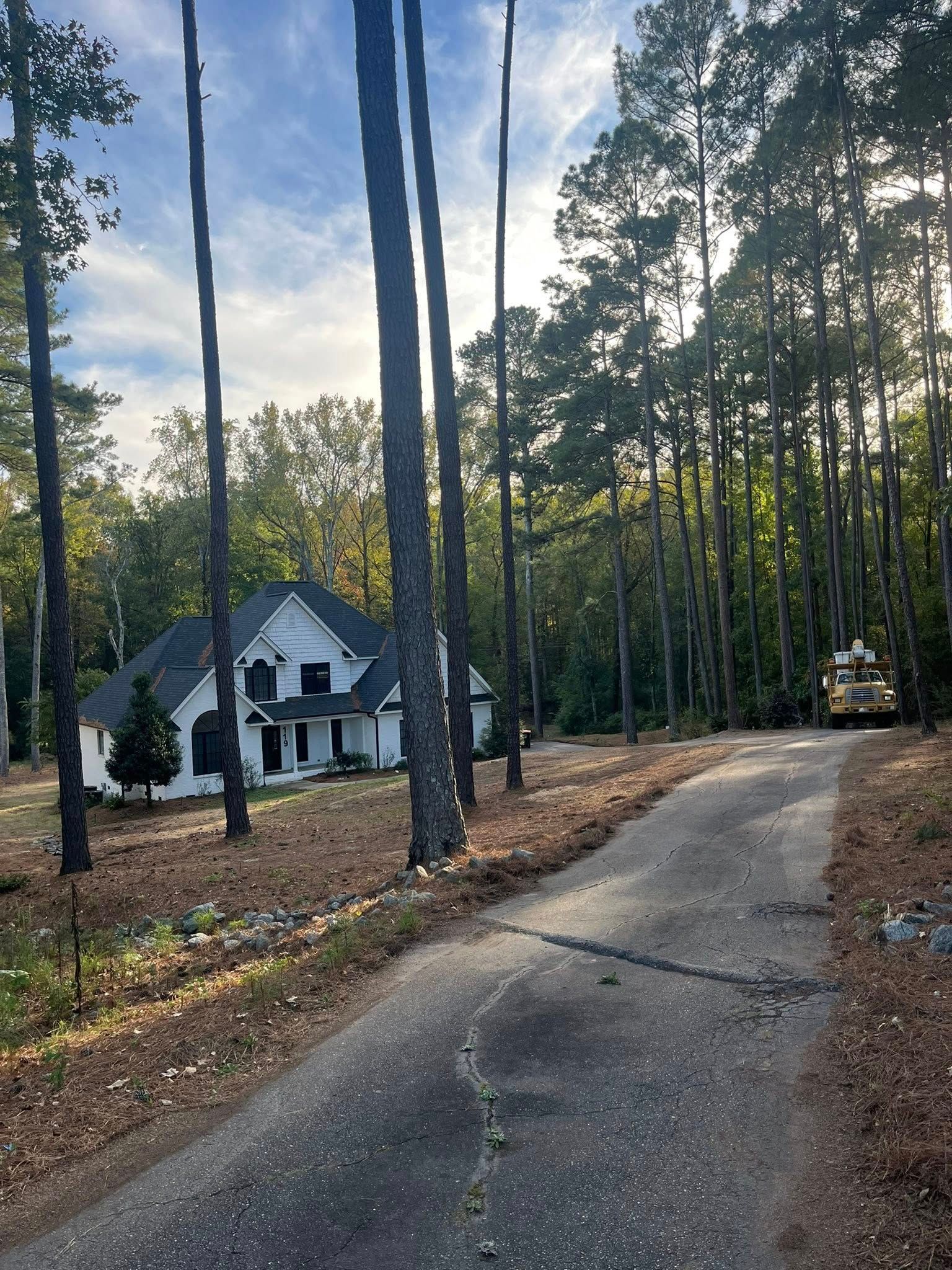 Curved driveway beside a white house in a wooded area with tall pine trees and a cloudy sky