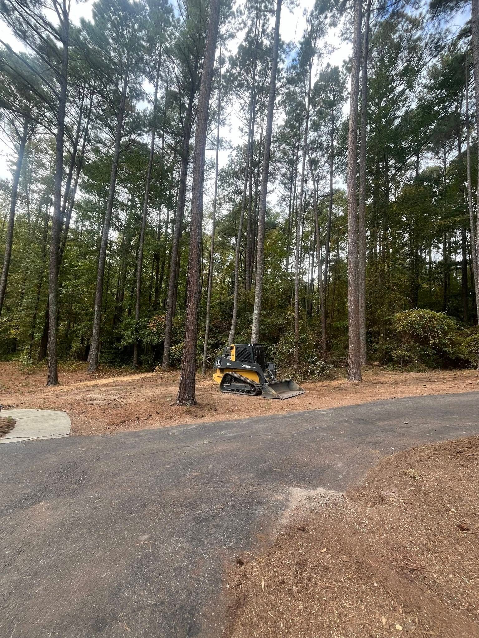 Wooded lot with tall pine trees and a gravel driveway, with a small yellow vehicle near the center