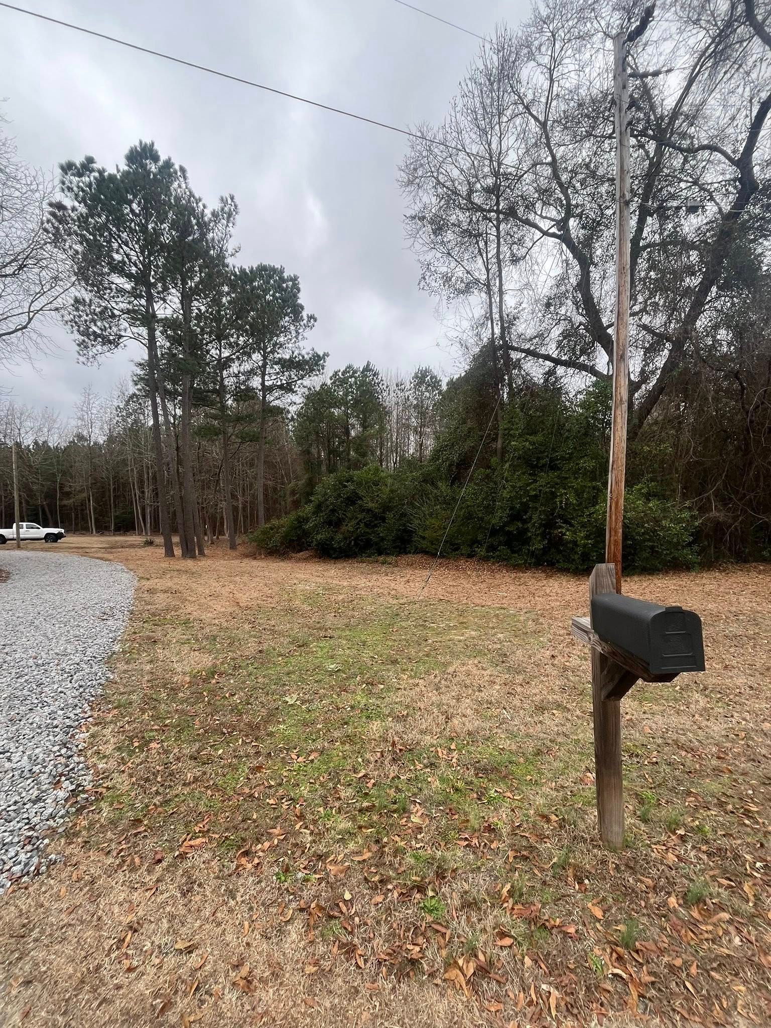 Mailbox on a wooden post beside a gravel driveway and leaf-covered ground in a wooded area.