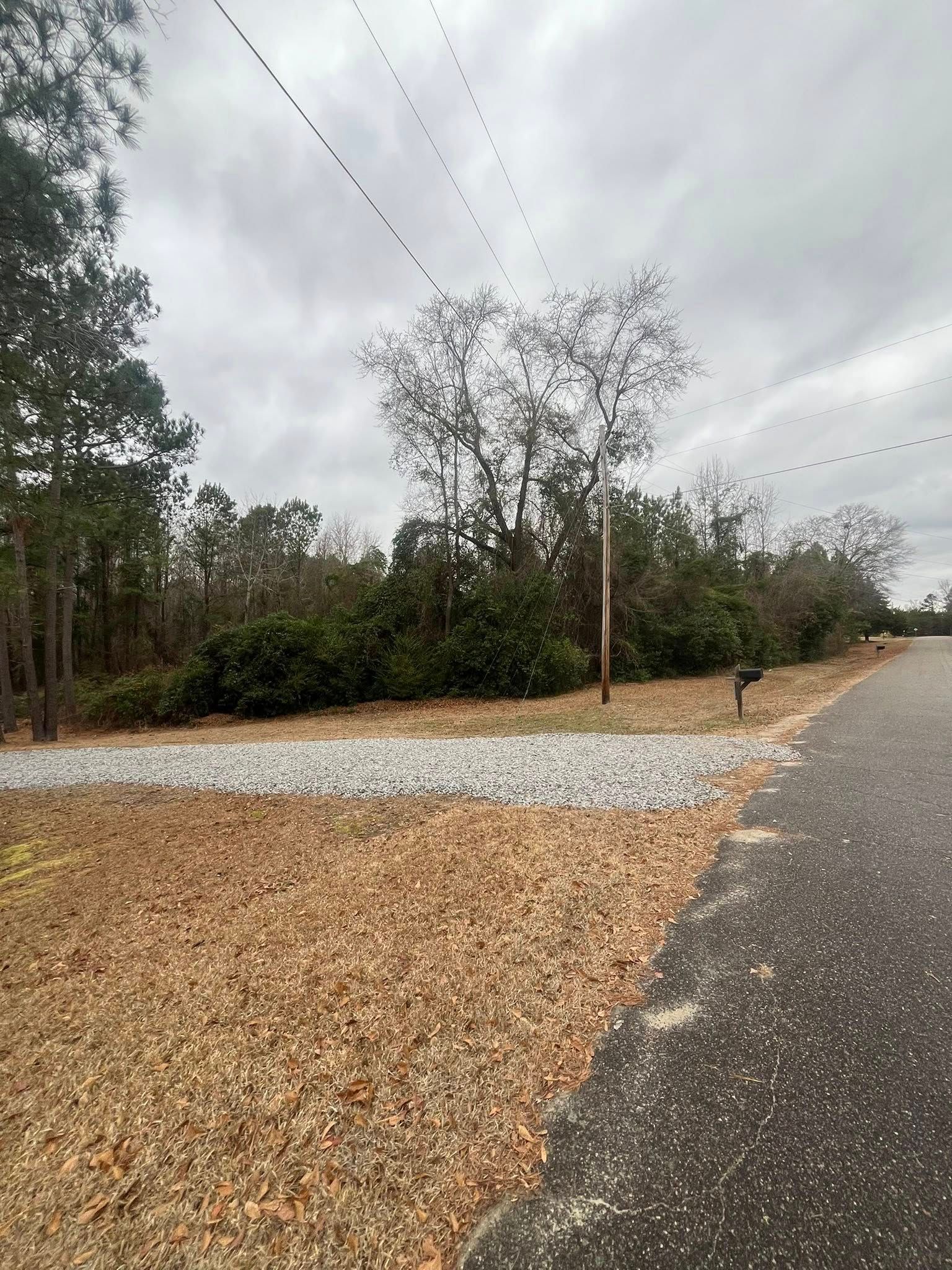 Gravel driveway beside a wooded lot under a cloudy sky, with a utility pole and roadside pavement.
