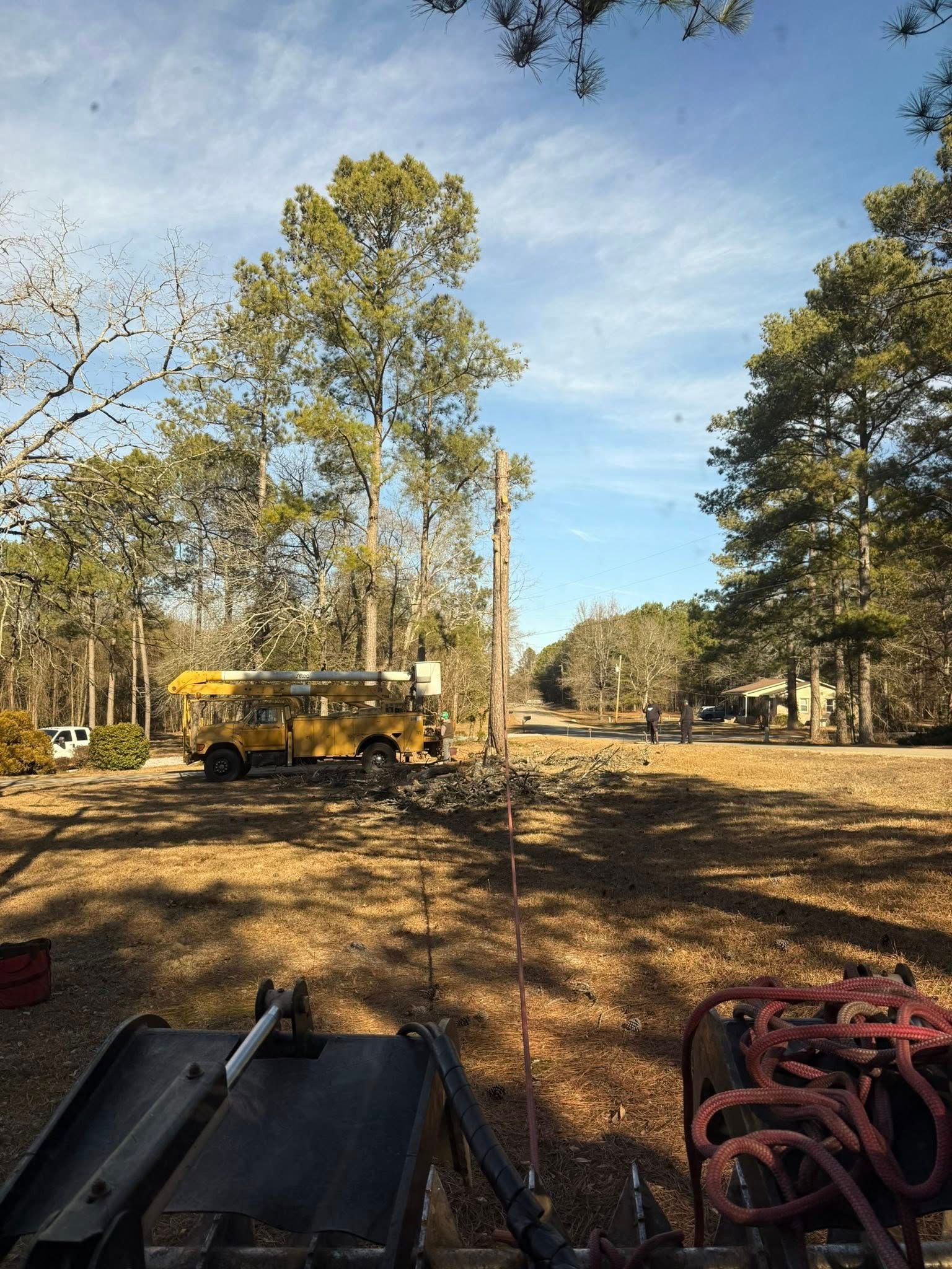 Rural yard with tall trees, a yellow truck in the distance, and construction equipment in the foreground.