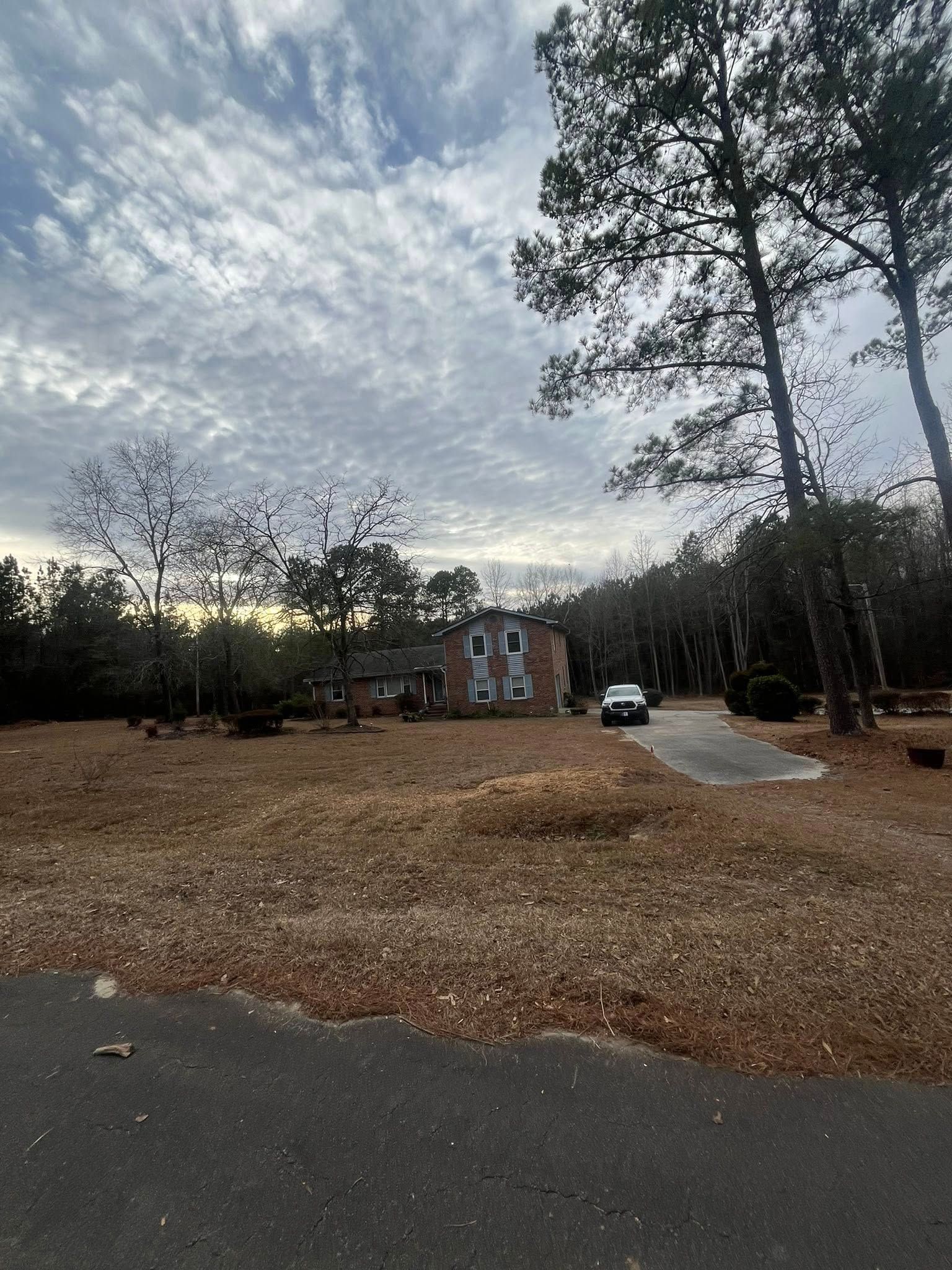 Leaf-covered lot beside a road, with tall trees, a cloudy sky, and a small building in the distance