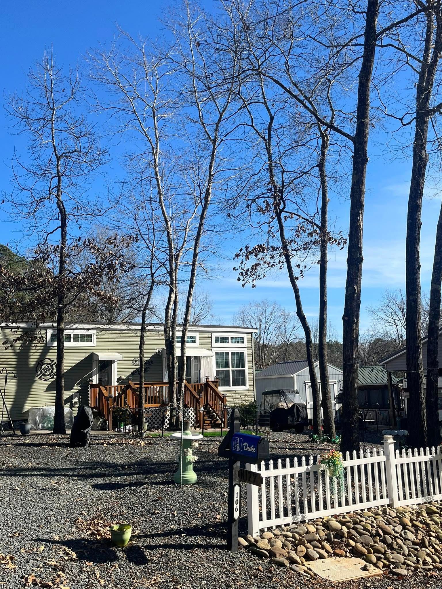 Front yard with bare trees, white fence, and a house on a sunny day
