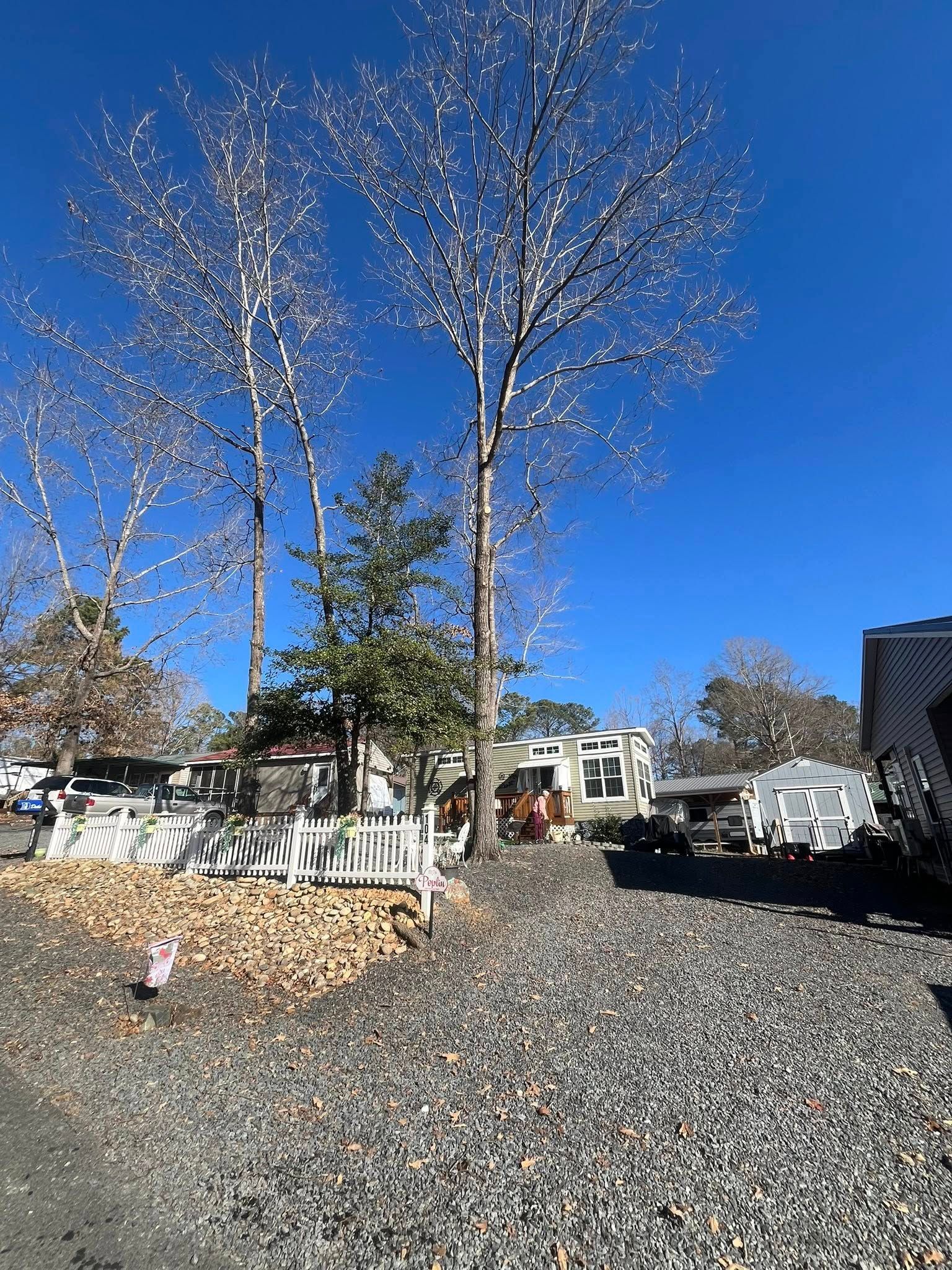 Leafless trees and a gravel yard under a bright blue sky, with houses in the background.