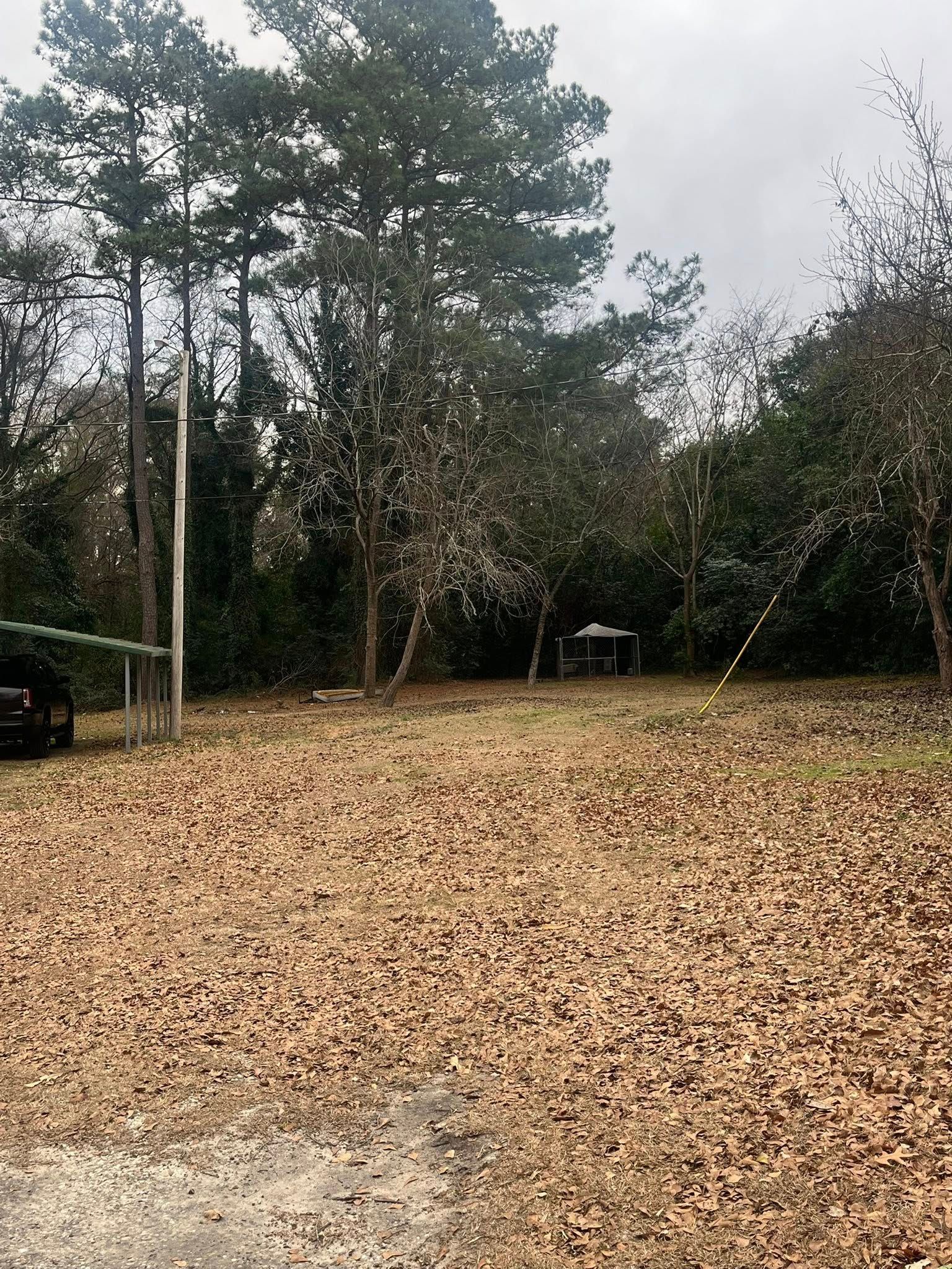 Leaf-covered yard with trees and a small fenced area under an overcast sky