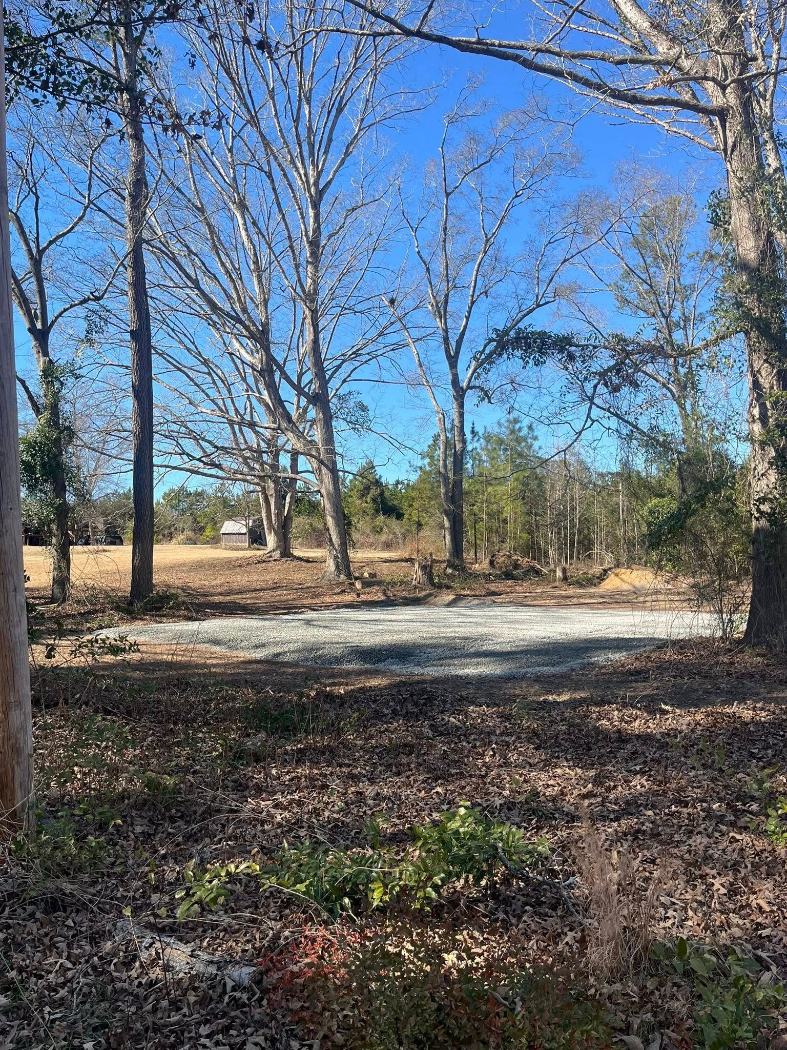 Leaf-covered park with bare trees, a gravel path, and bright blue sky.