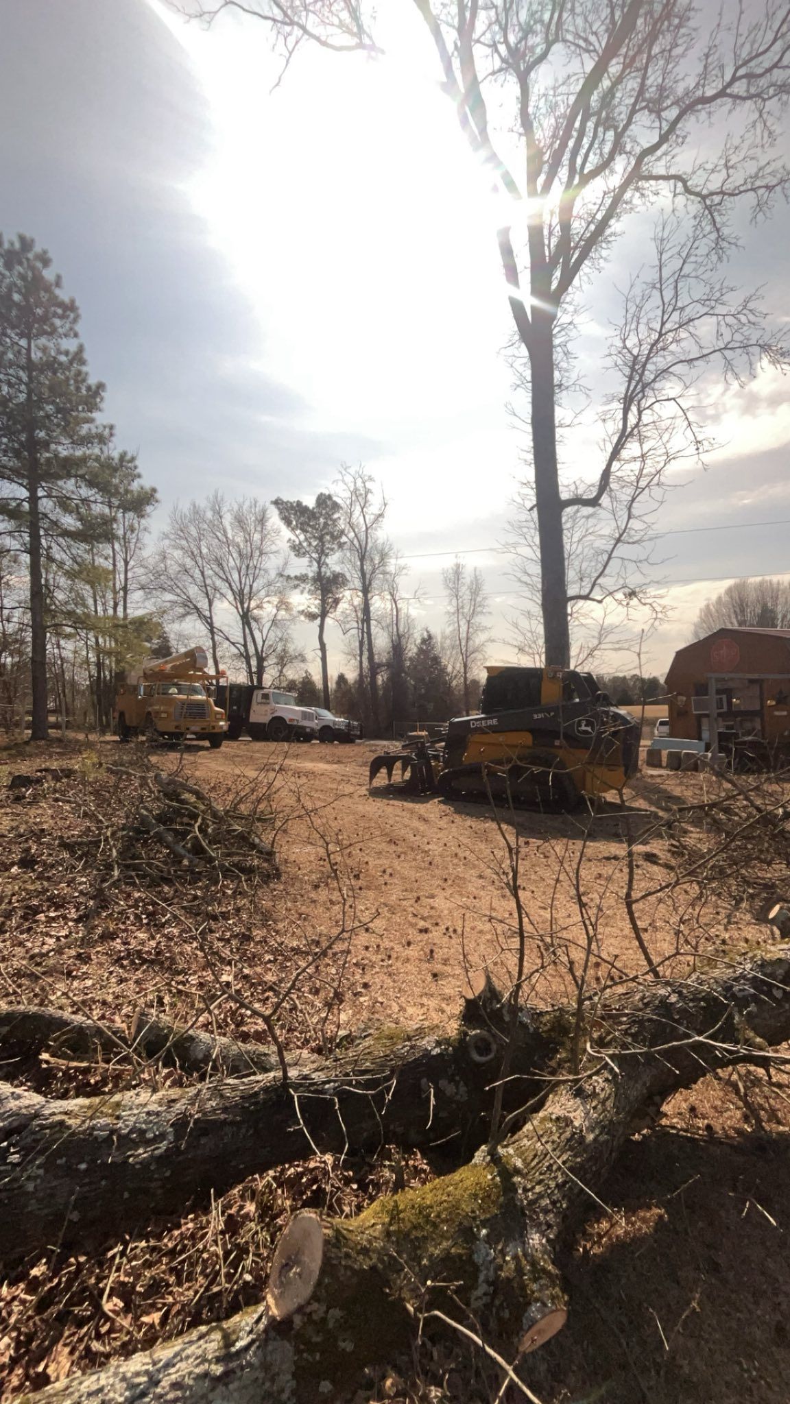 Leaf-covered yard with a large bare tree, logs in the foreground, and construction equipment in bright sunlight.