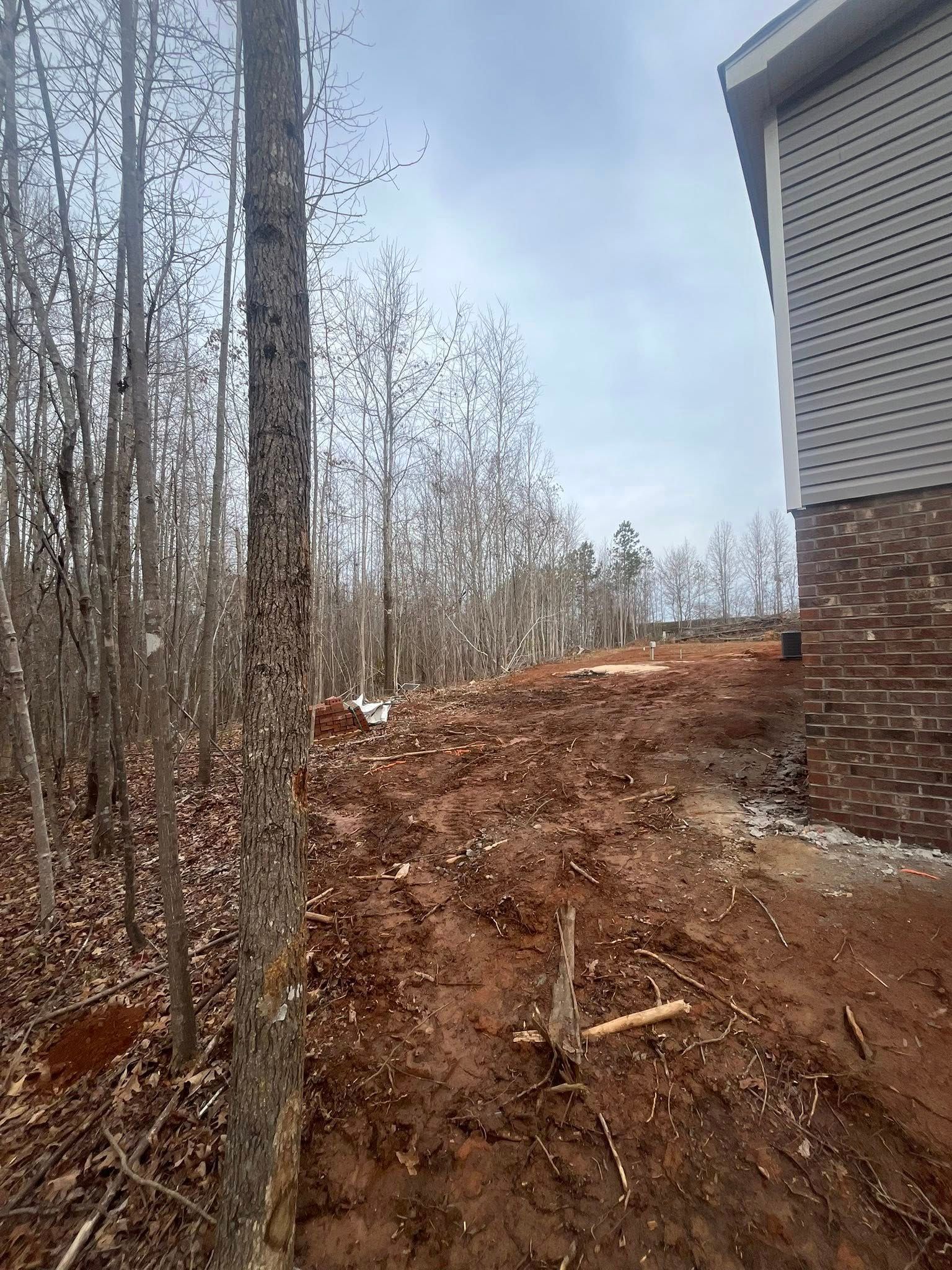 Cleared dirt path beside a house, with trees on the left and a wooded slope in the distance
