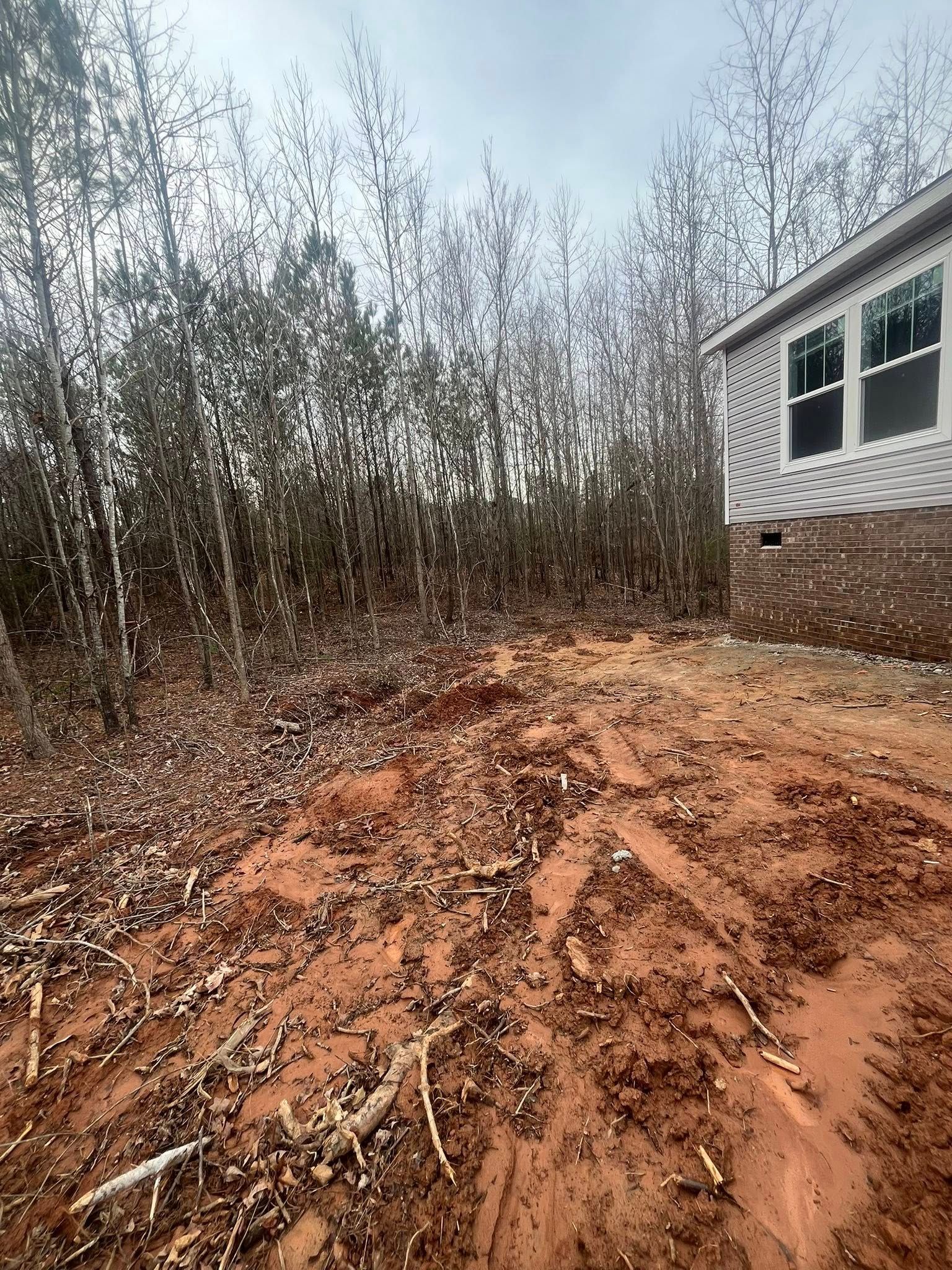 Dirt clearing beside a house with leafless trees and muddy tire tracks under an overcast sky