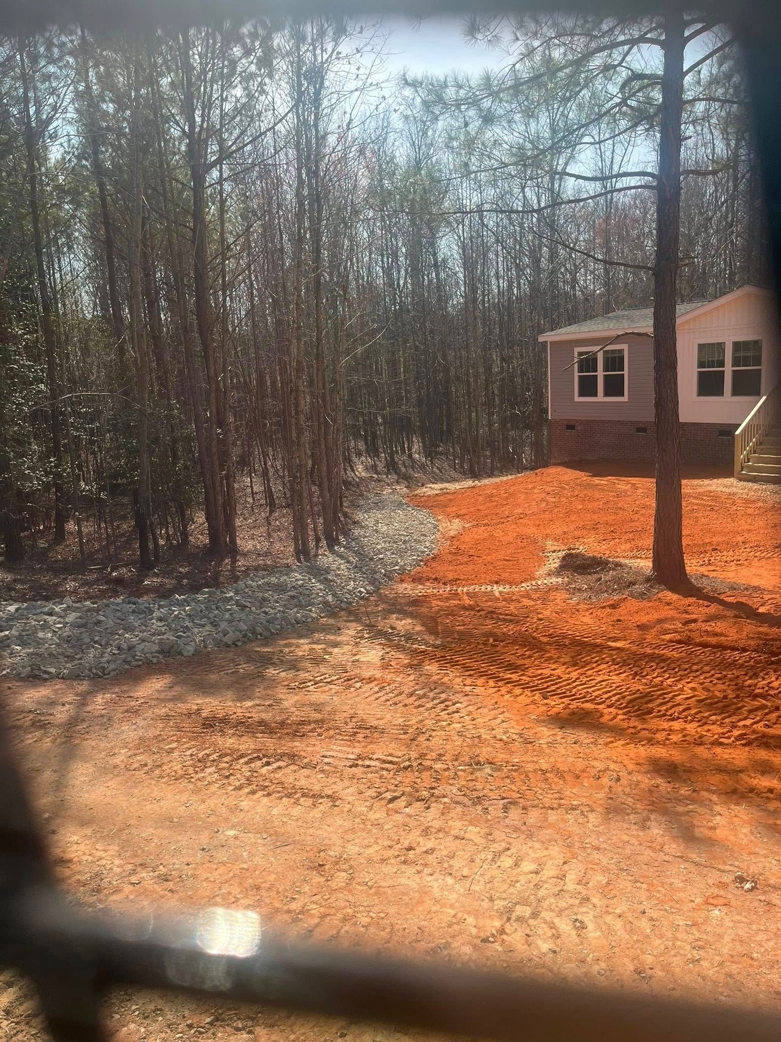 Wooded yard with bare trees, orange ground cover, and a small house at right under bright sunlight.